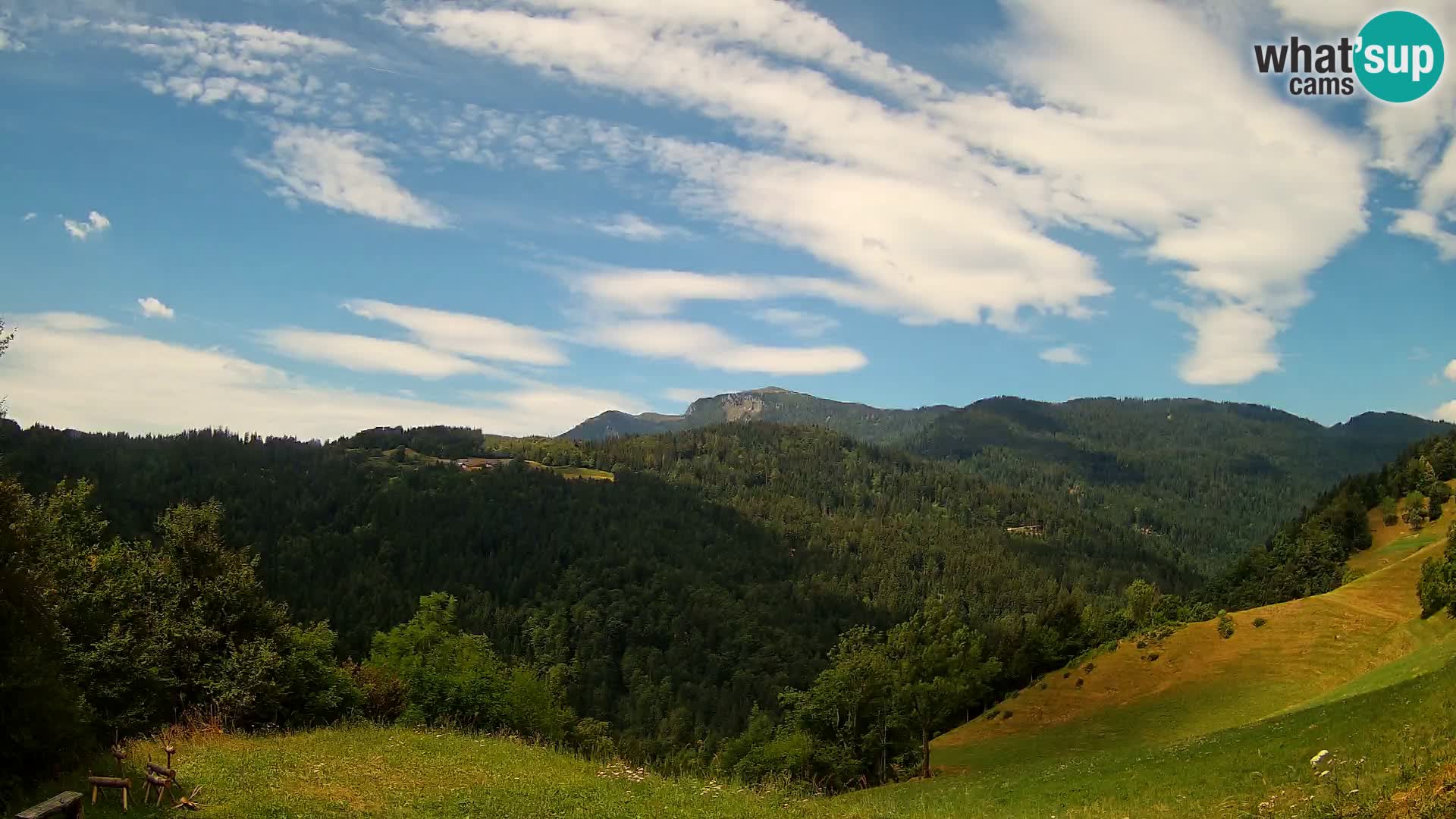 Webcam Brunarica Dražgoše – Live View of Ratitovec (1666 m)