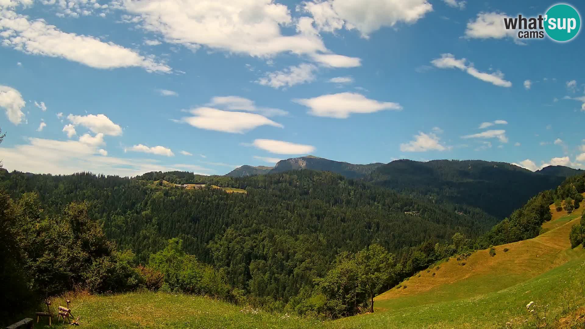 Webcam Brunarica Dražgoše – Live View of Ratitovec (1666 m)