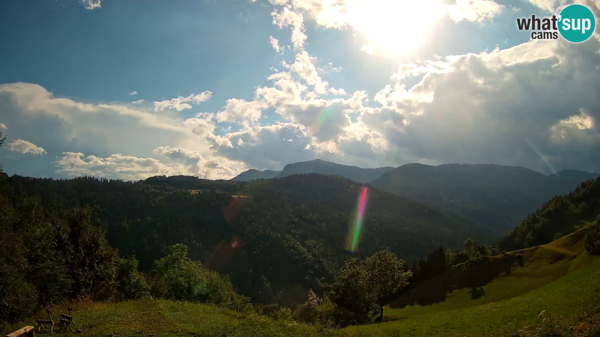 Webcam Brunarica Dražgoše – Live View of Ratitovec (1666 m)