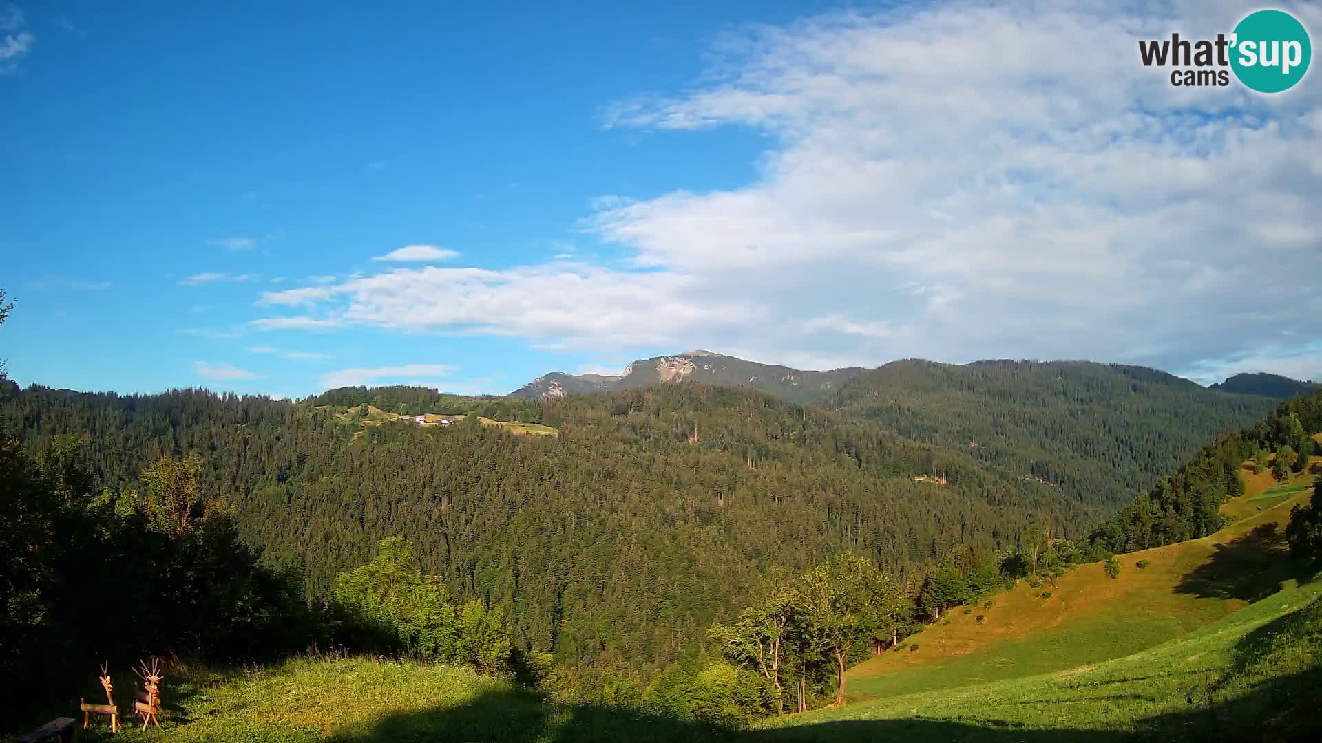 Webcam Brunarica Dražgoše – Live View of Ratitovec (1666 m)