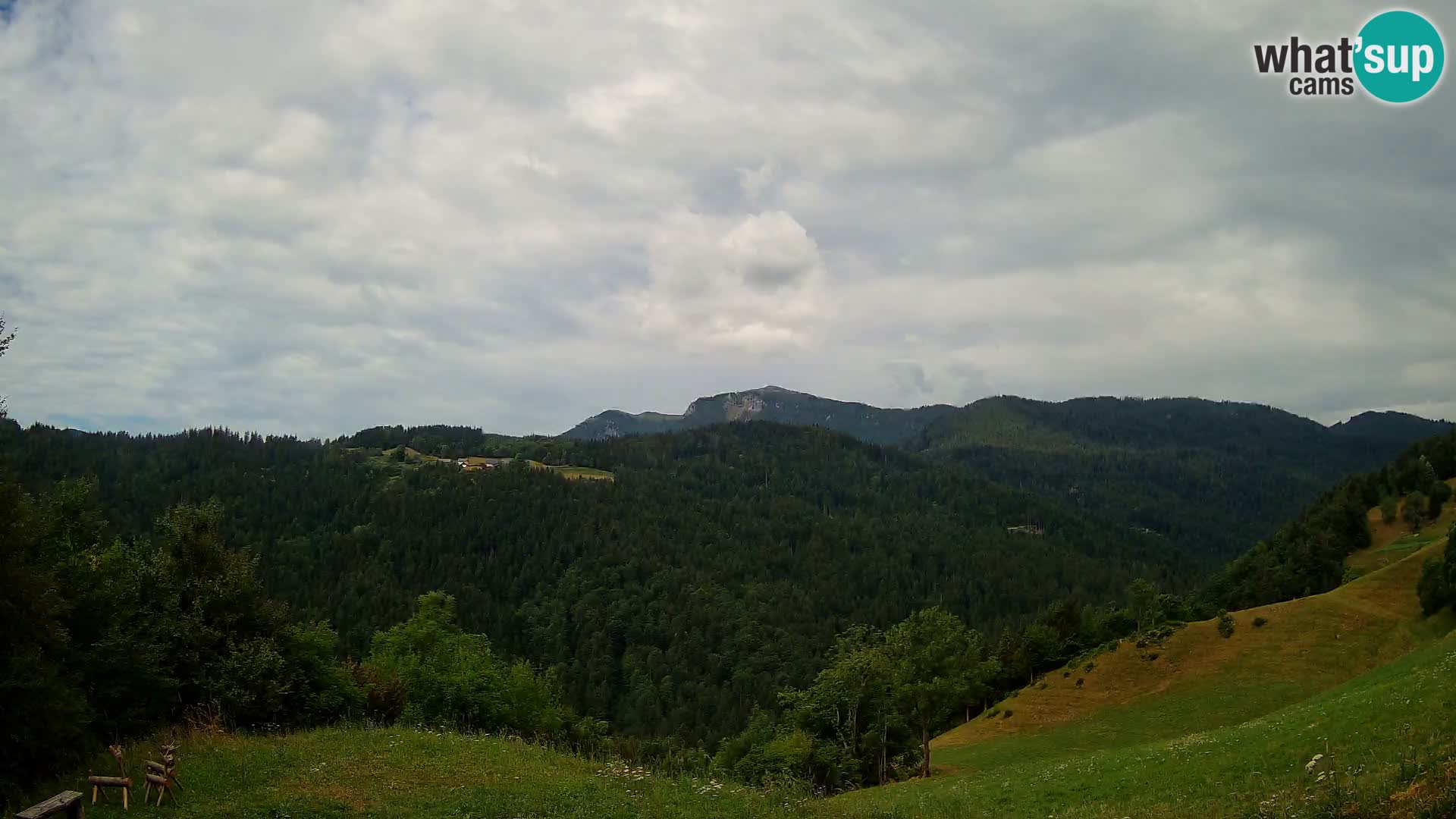 Webcam Brunarica Dražgoše – Live View of Ratitovec (1666 m)