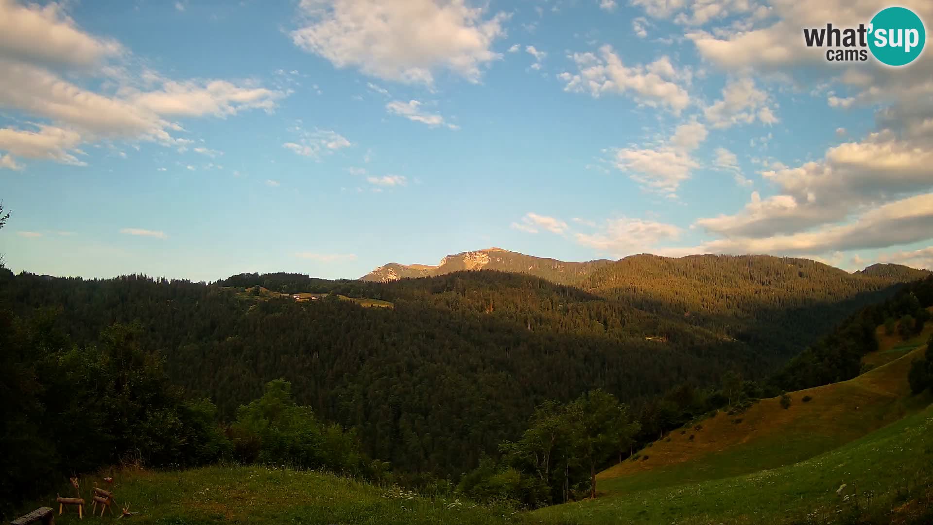 Webcam Brunarica Dražgoše – Live View of Ratitovec (1666 m)
