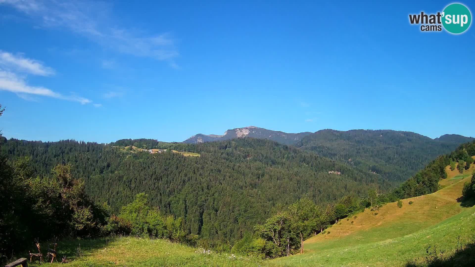 Webcam Brunarica Dražgoše – Live View of Ratitovec (1666 m)