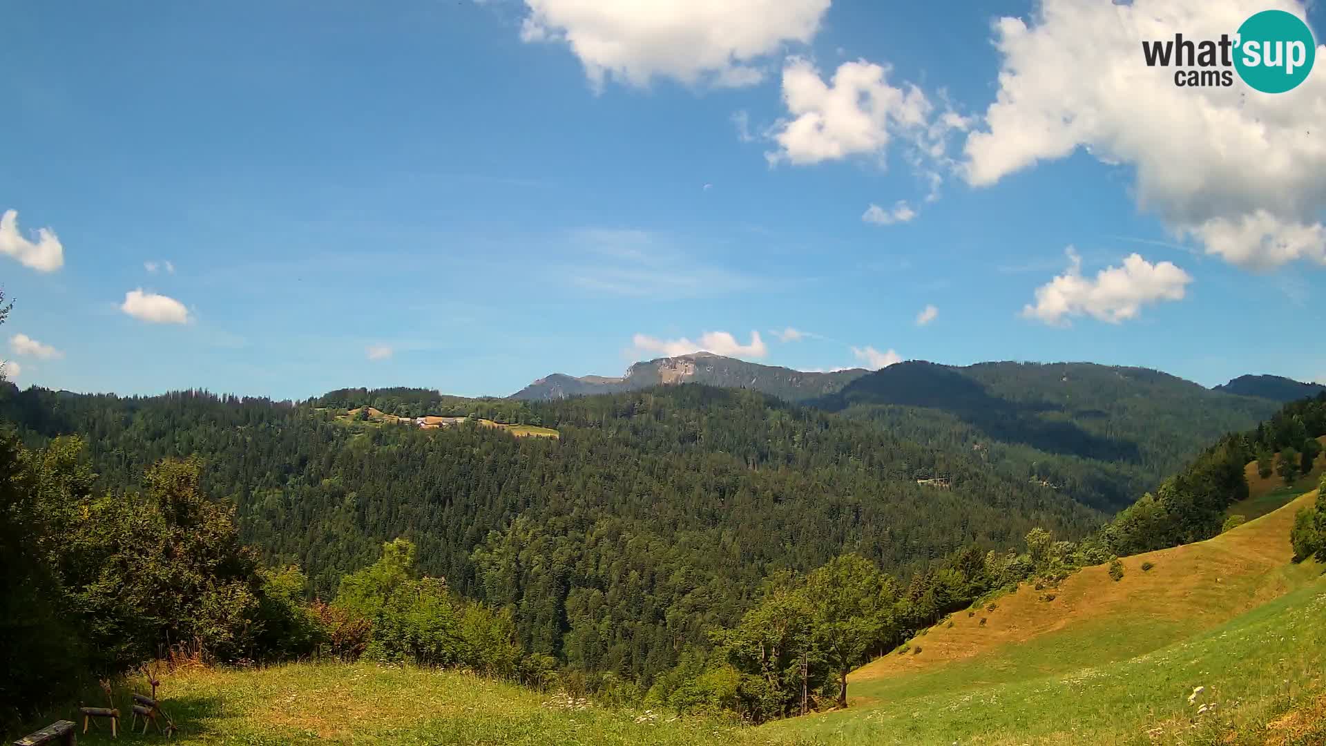 Webcam Brunarica Dražgoše – Live View of Ratitovec (1666 m)