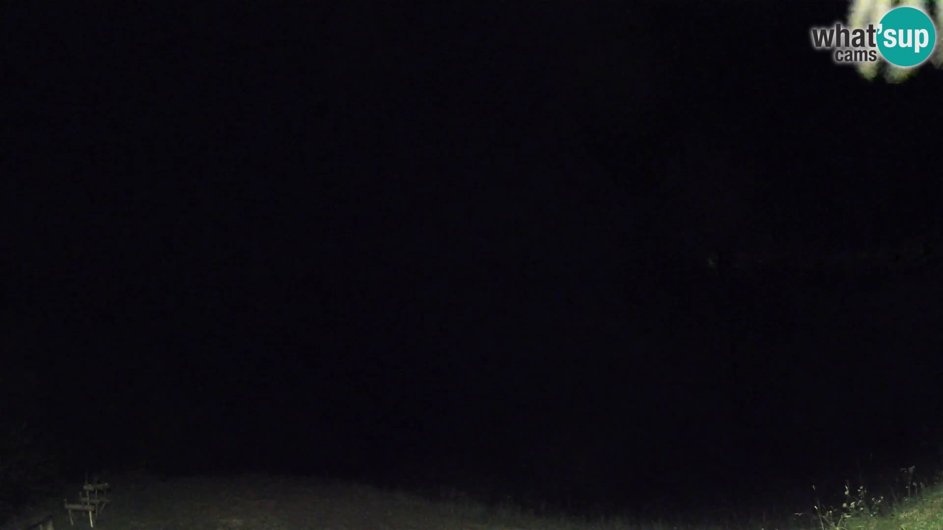Webcam Brunarica Dražgoše – Live View of Ratitovec (1666 m)