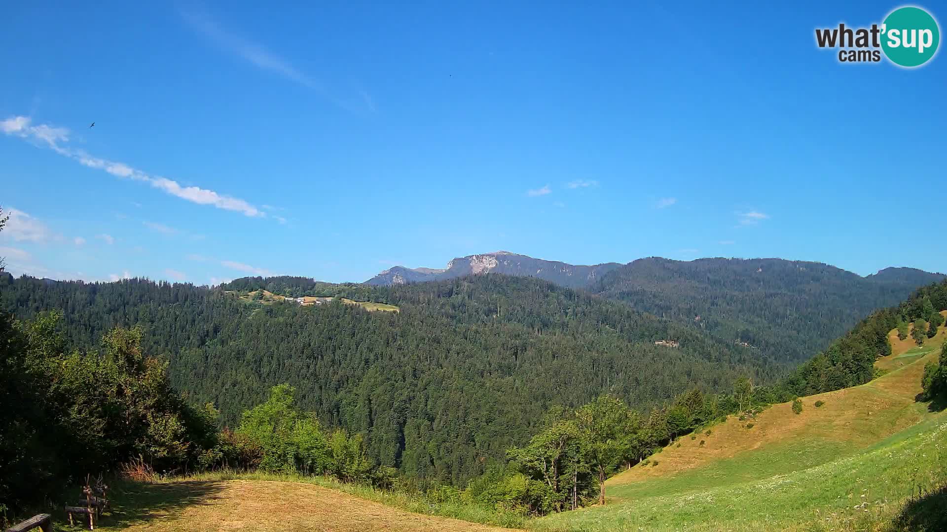 Webcam Brunarica Dražgoše – Live View of Ratitovec (1666 m)
