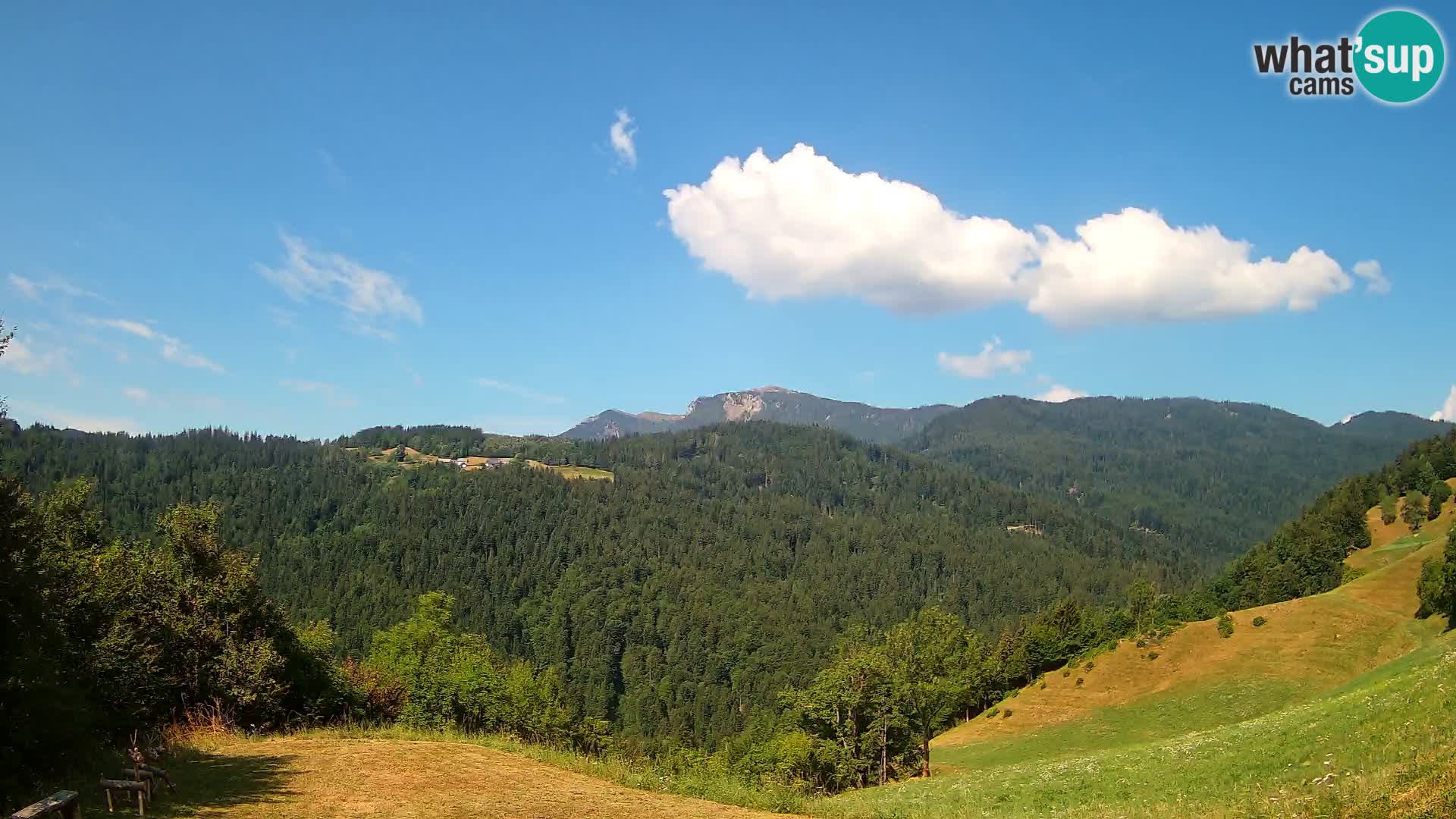 Webcam Brunarica Dražgoše – Live View of Ratitovec (1666 m)