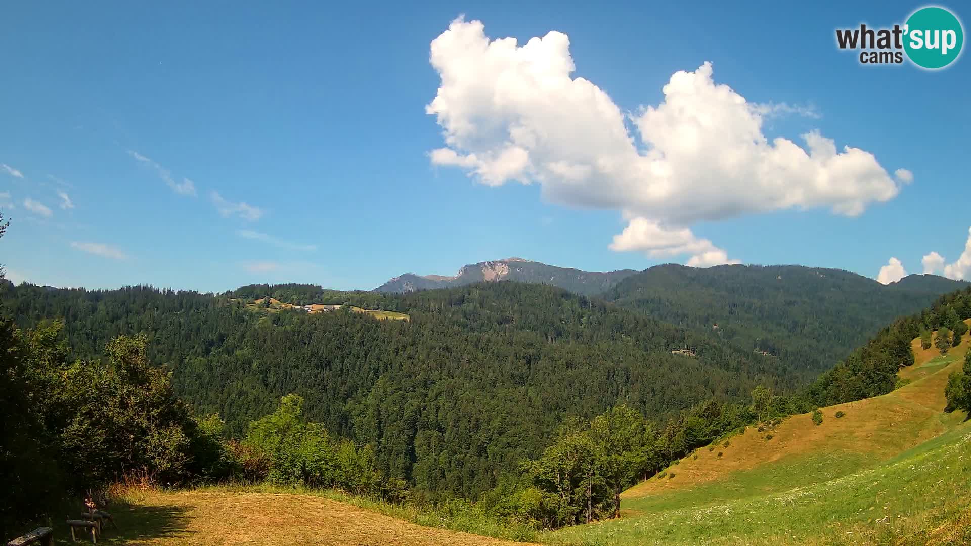 Webcam Brunarica Dražgoše – Live View of Ratitovec (1666 m)