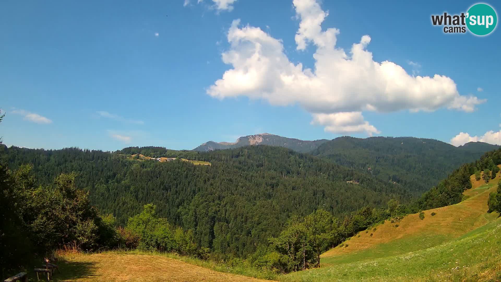 Webcam Brunarica Dražgoše – Live View of Ratitovec (1666 m)