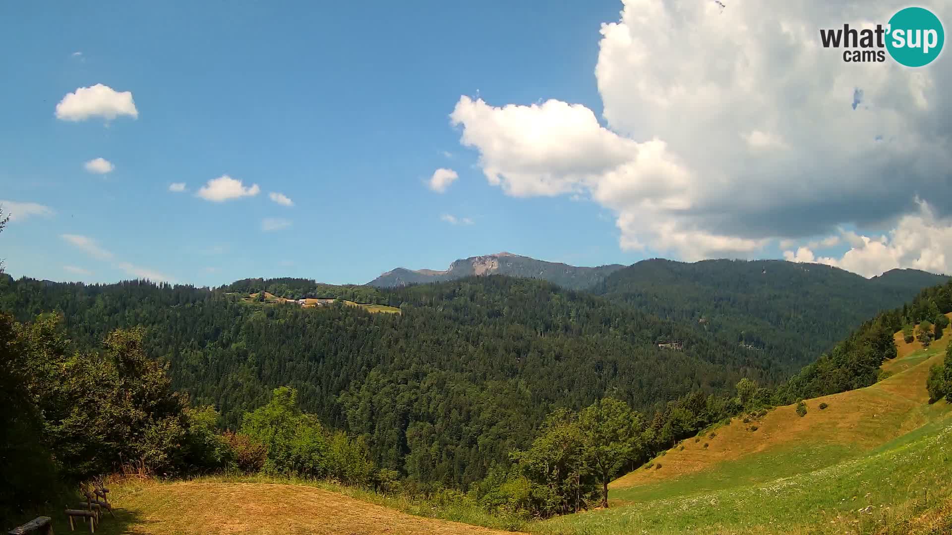Webcam Brunarica Dražgoše – Live View of Ratitovec (1666 m)
