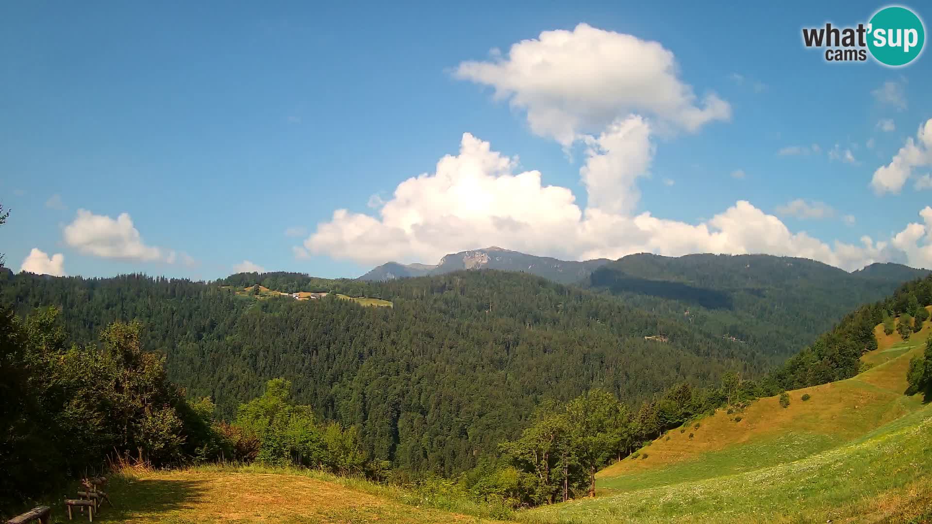Webcam Brunarica Dražgoše – Live View of Ratitovec (1666 m)