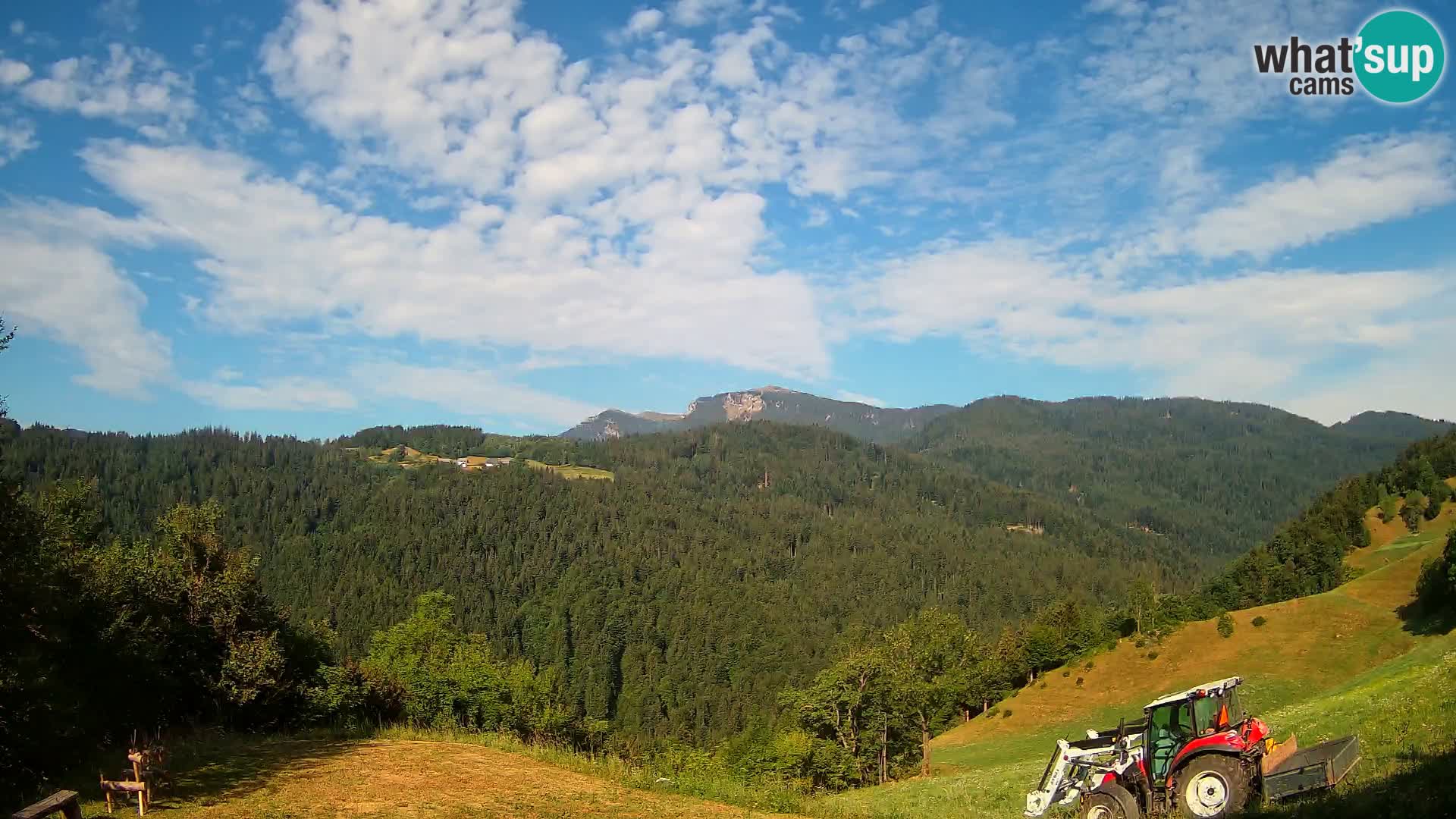 Webcam Brunarica Dražgoše – Live View of Ratitovec (1666 m)