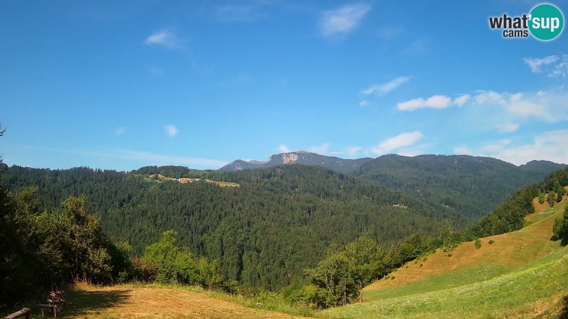 Webcam Brunarica Dražgoše – Live View of Ratitovec (1666 m)