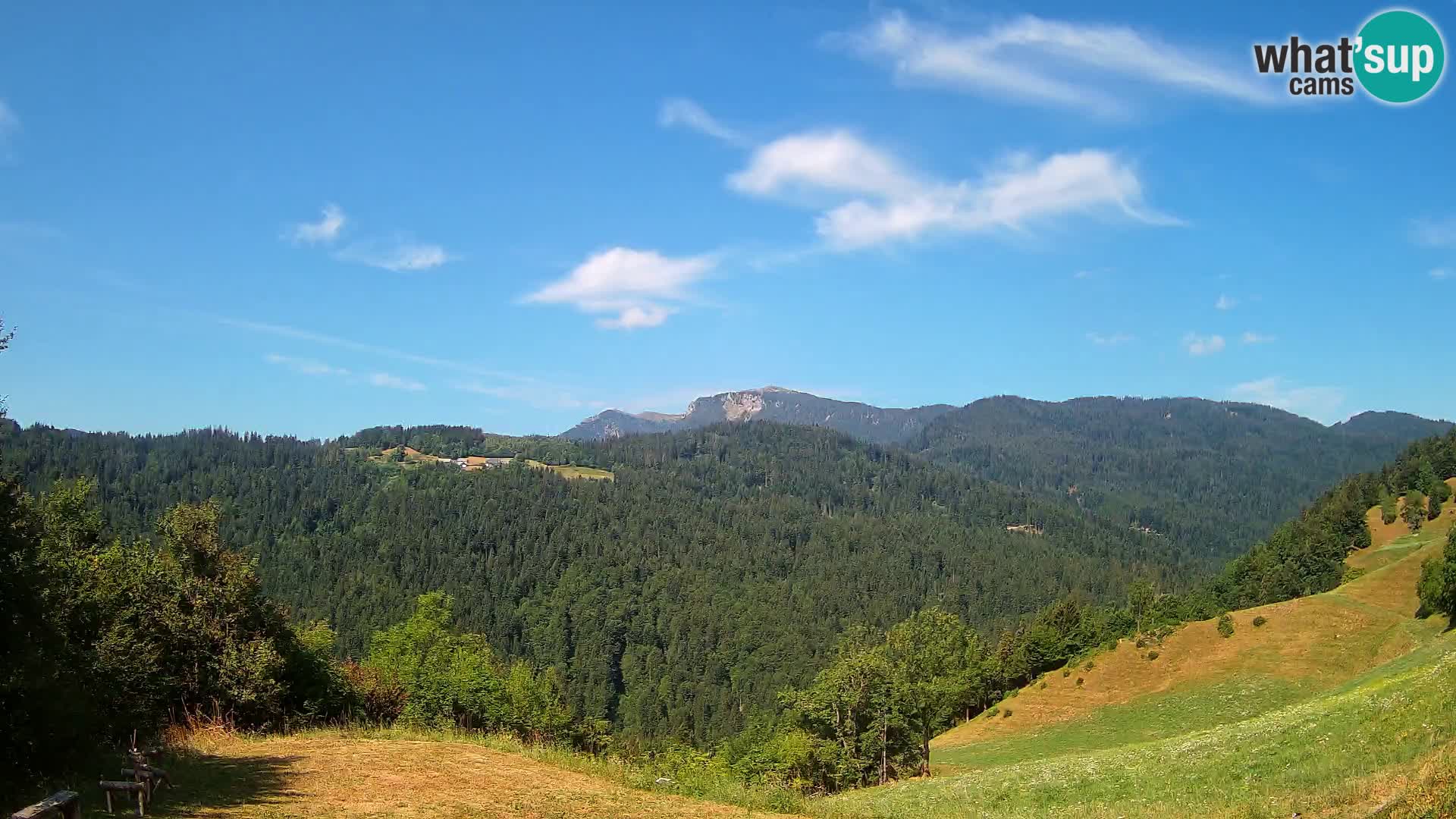 Webcam Brunarica Dražgoše – Live View of Ratitovec (1666 m)