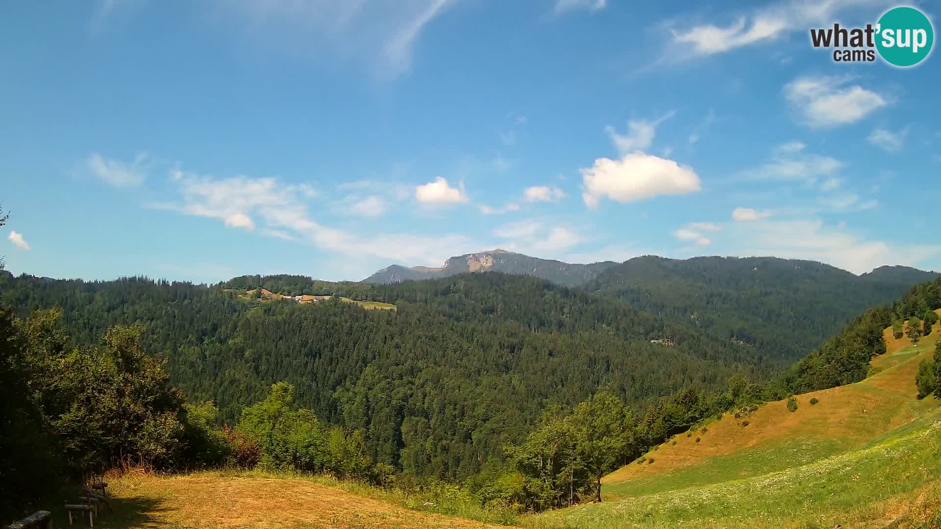 Webcam Brunarica Dražgoše – Live View of Ratitovec (1666 m)