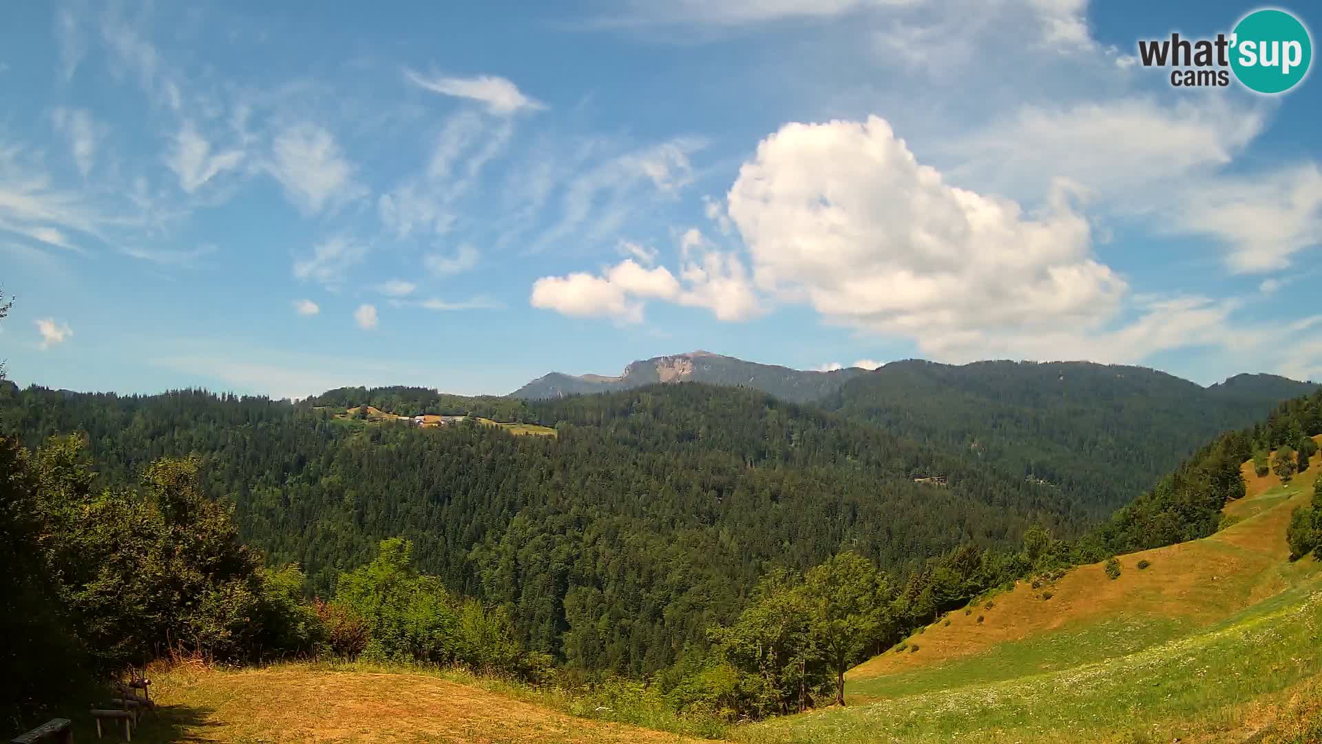 Webcam Brunarica Dražgoše – Live View of Ratitovec (1666 m)