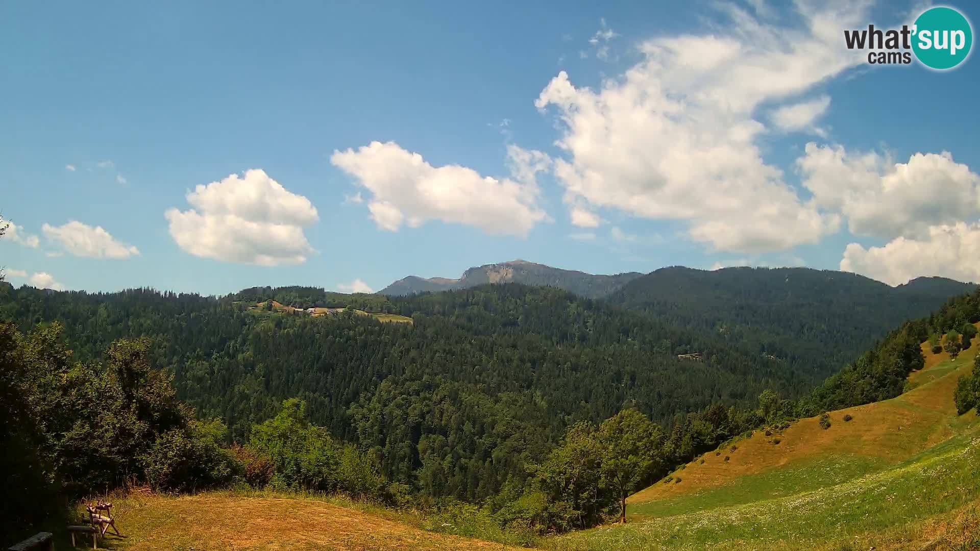 Webcam Brunarica Dražgoše – Live View of Ratitovec (1666 m)