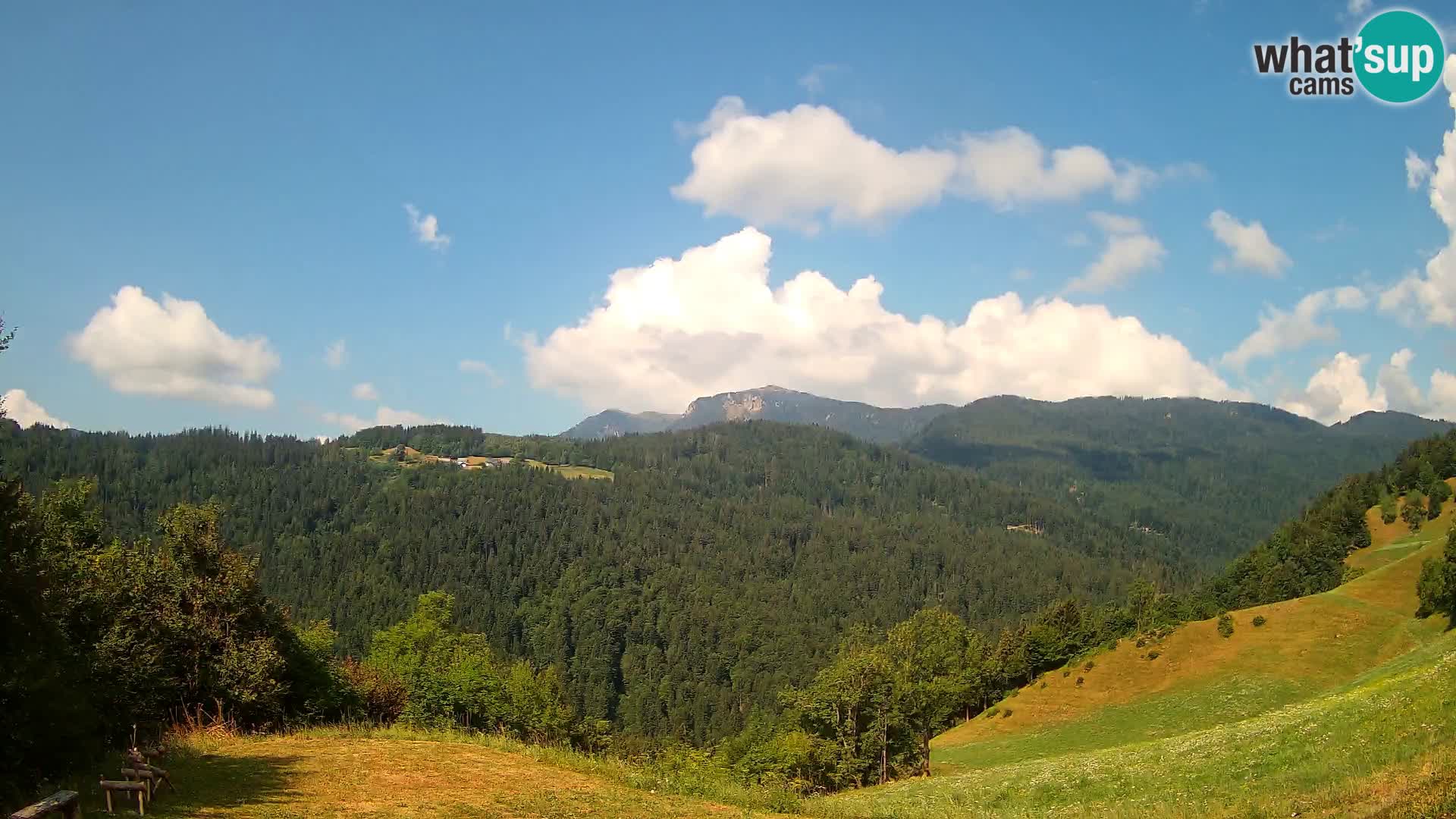 Webcam Brunarica Dražgoše – Live View of Ratitovec (1666 m)