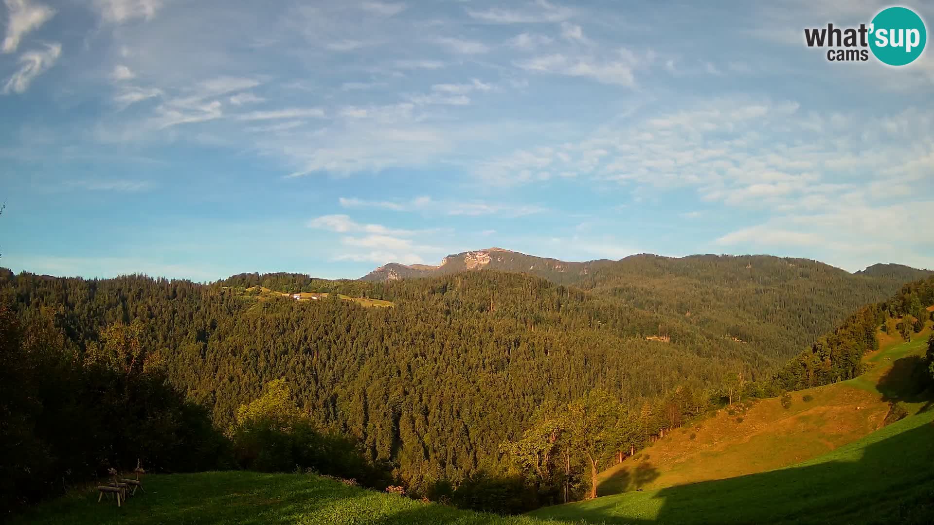 Webcam Brunarica Dražgoše – Live View of Ratitovec (1666 m)