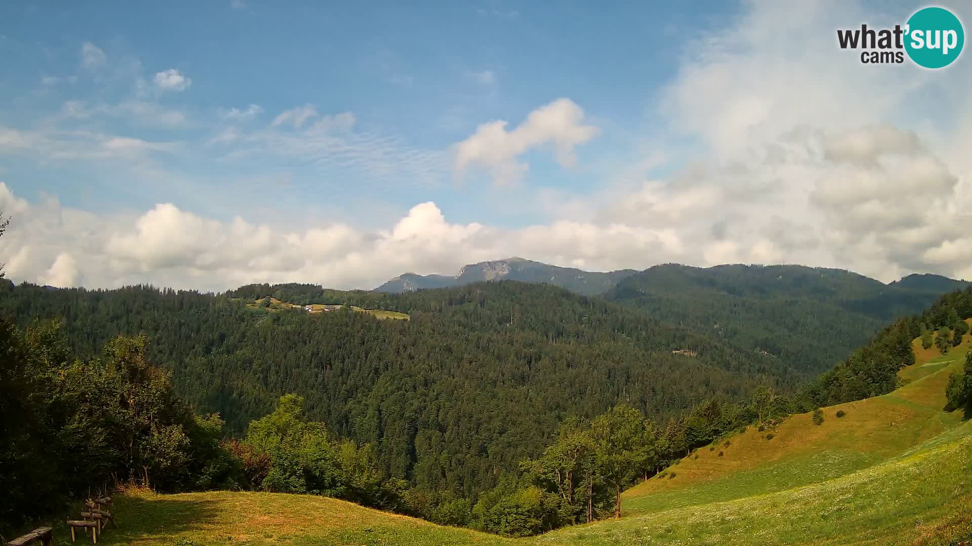 Webcam Brunarica Dražgoše – Live View of Ratitovec (1666 m)