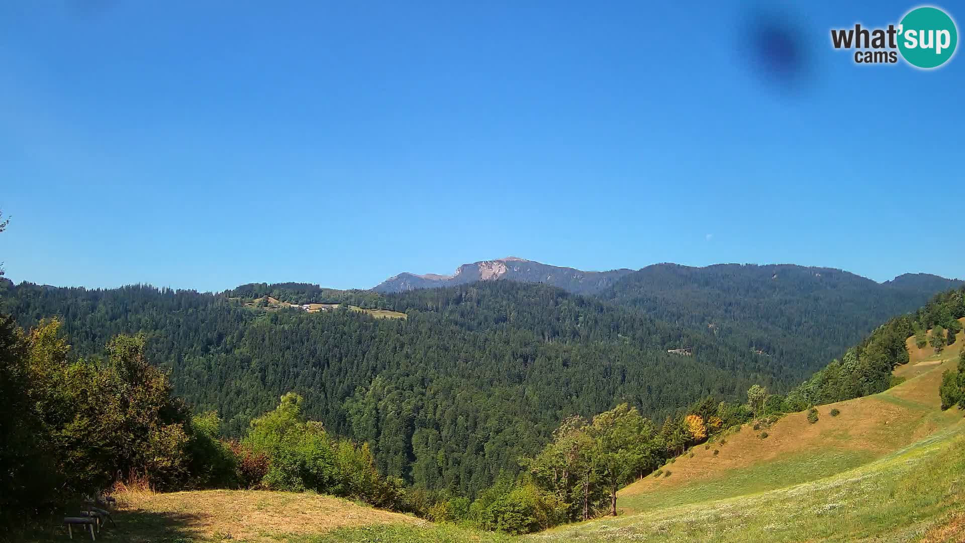 Webcam Brunarica Dražgoše – Live View of Ratitovec (1666 m)