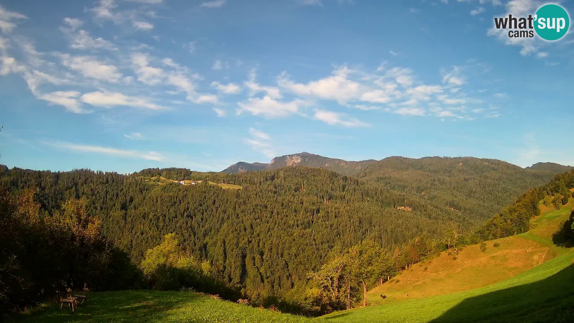 Spletna kamera Brunarica Dražgoše – Pogled v živo na Ratitovec (1666 m)