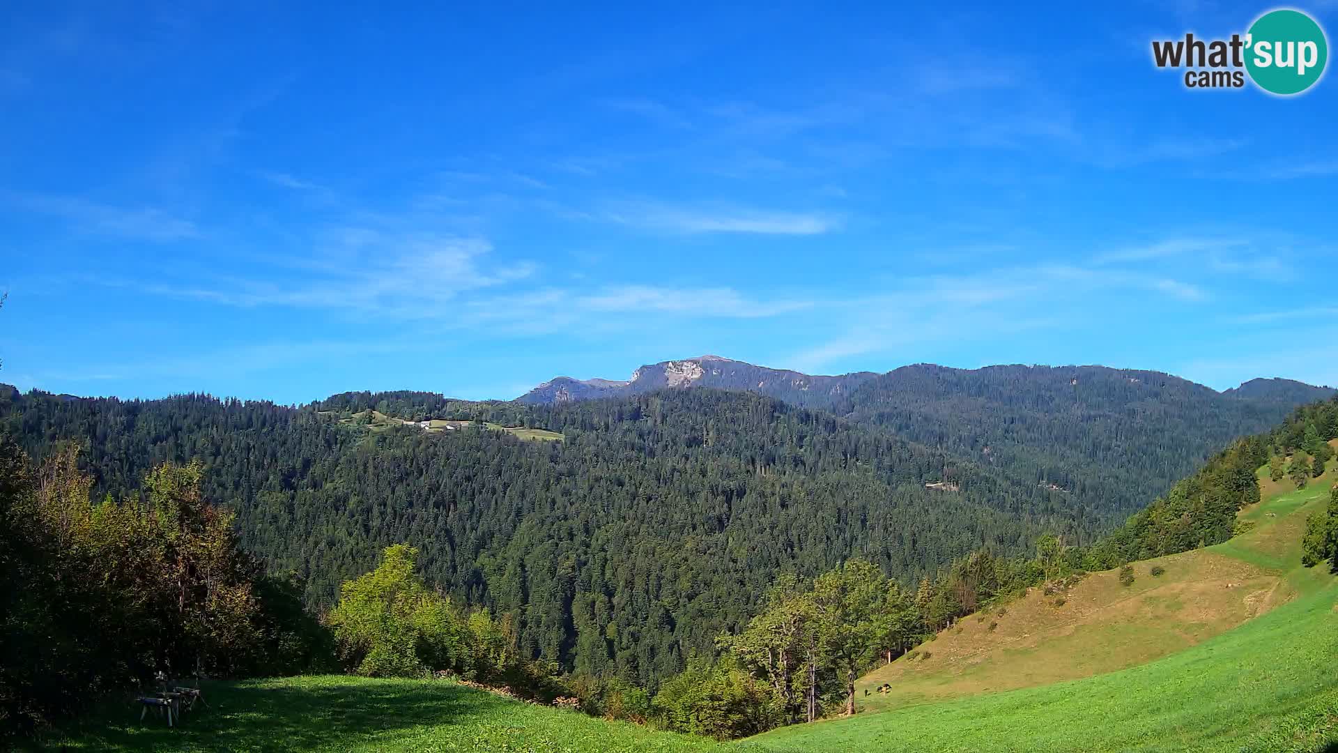 Webcam Brunarica Dražgoše – Vista live sul Ratitovec (1666 m)