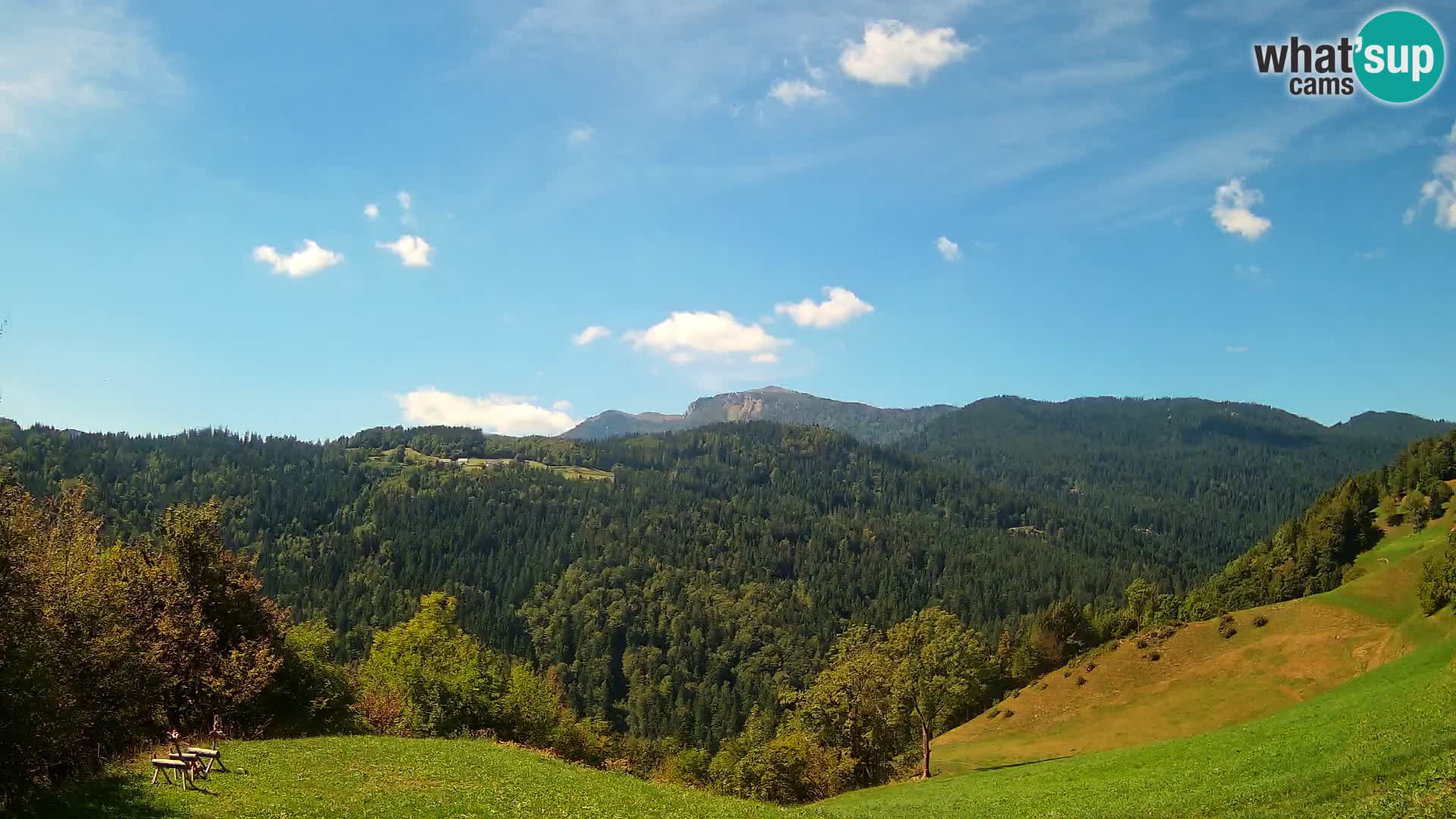 Webcam Brunarica Dražgoše – Live View of Ratitovec (1666 m)