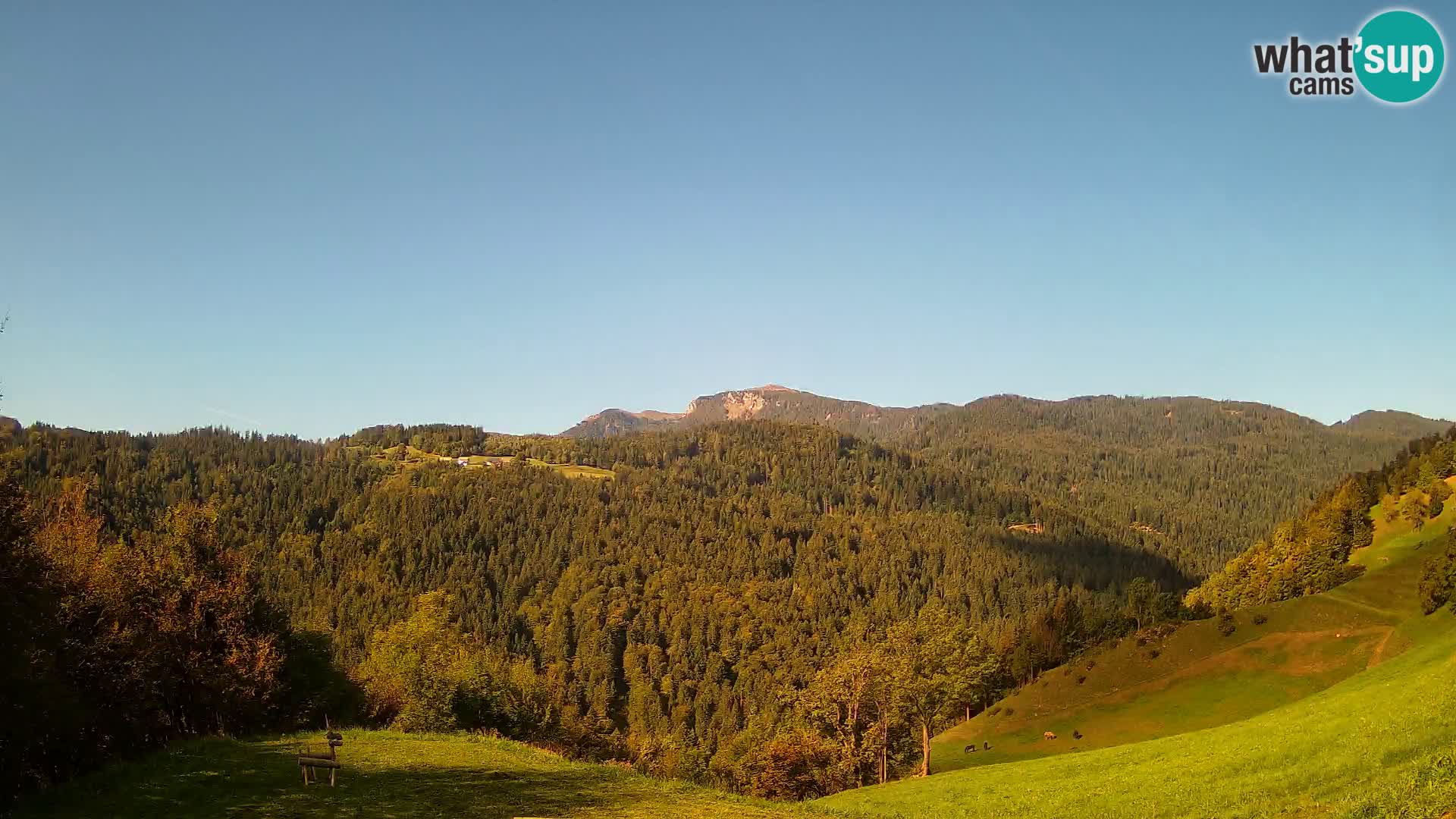 Spletna kamera Brunarica Dražgoše – Pogled v živo na Ratitovec (1666 m)