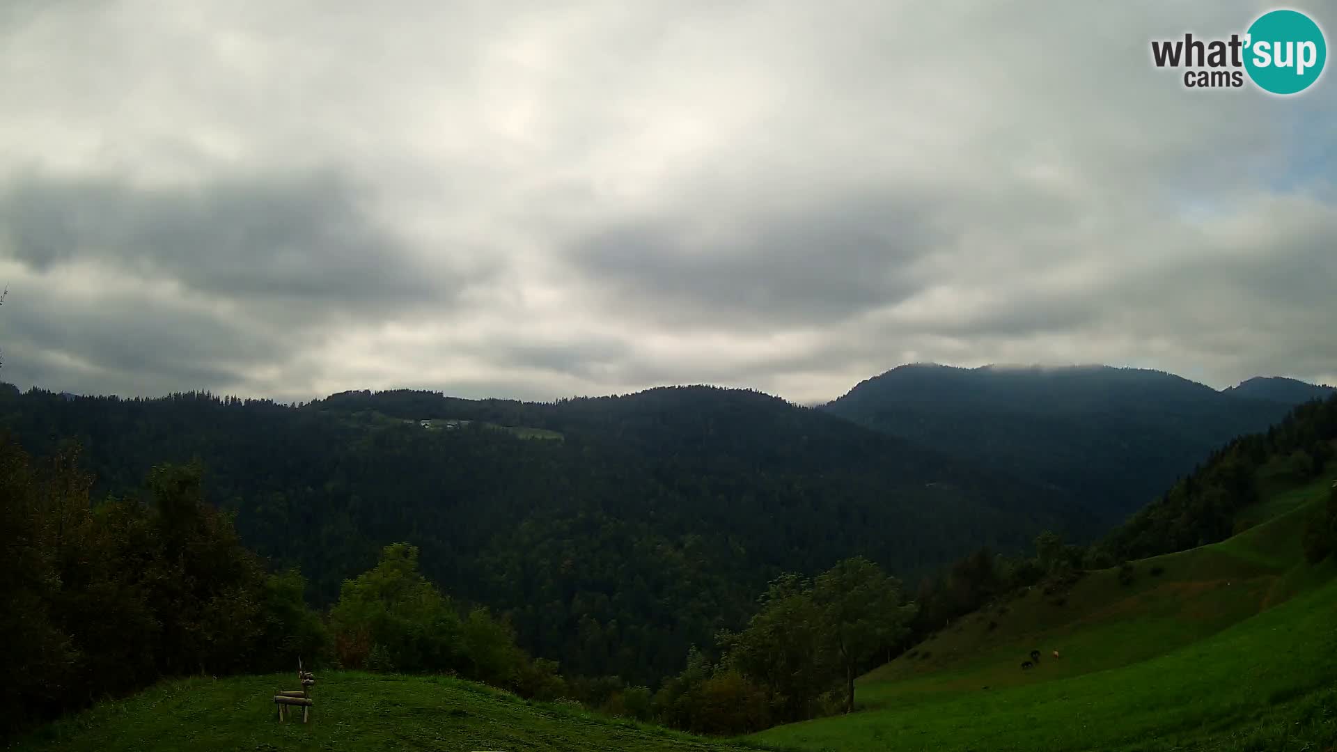 Webcam Brunarica Dražgoše – Live View of Ratitovec (1666 m)