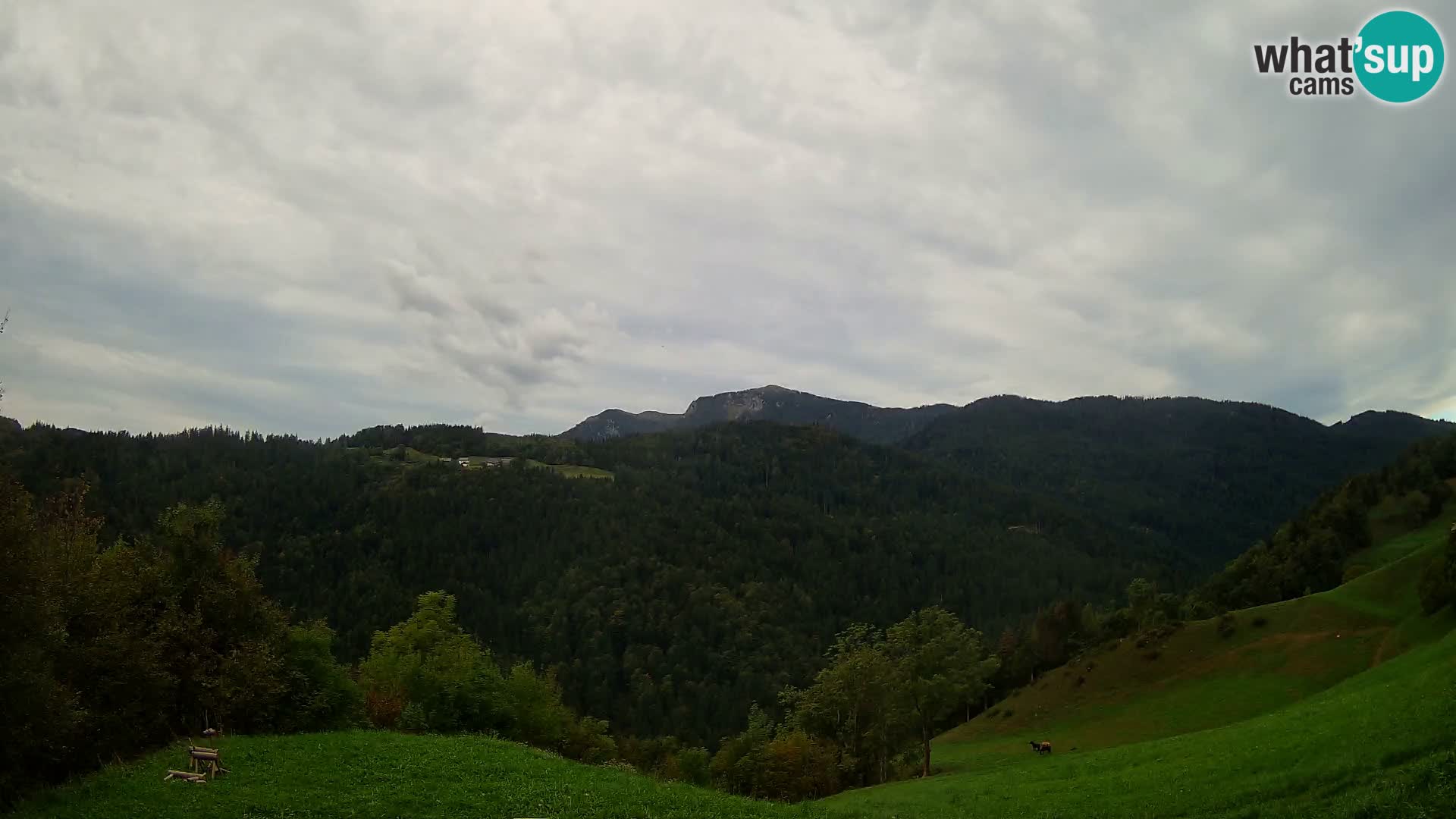 Webcam Brunarica Dražgoše – Live View of Ratitovec (1666 m)