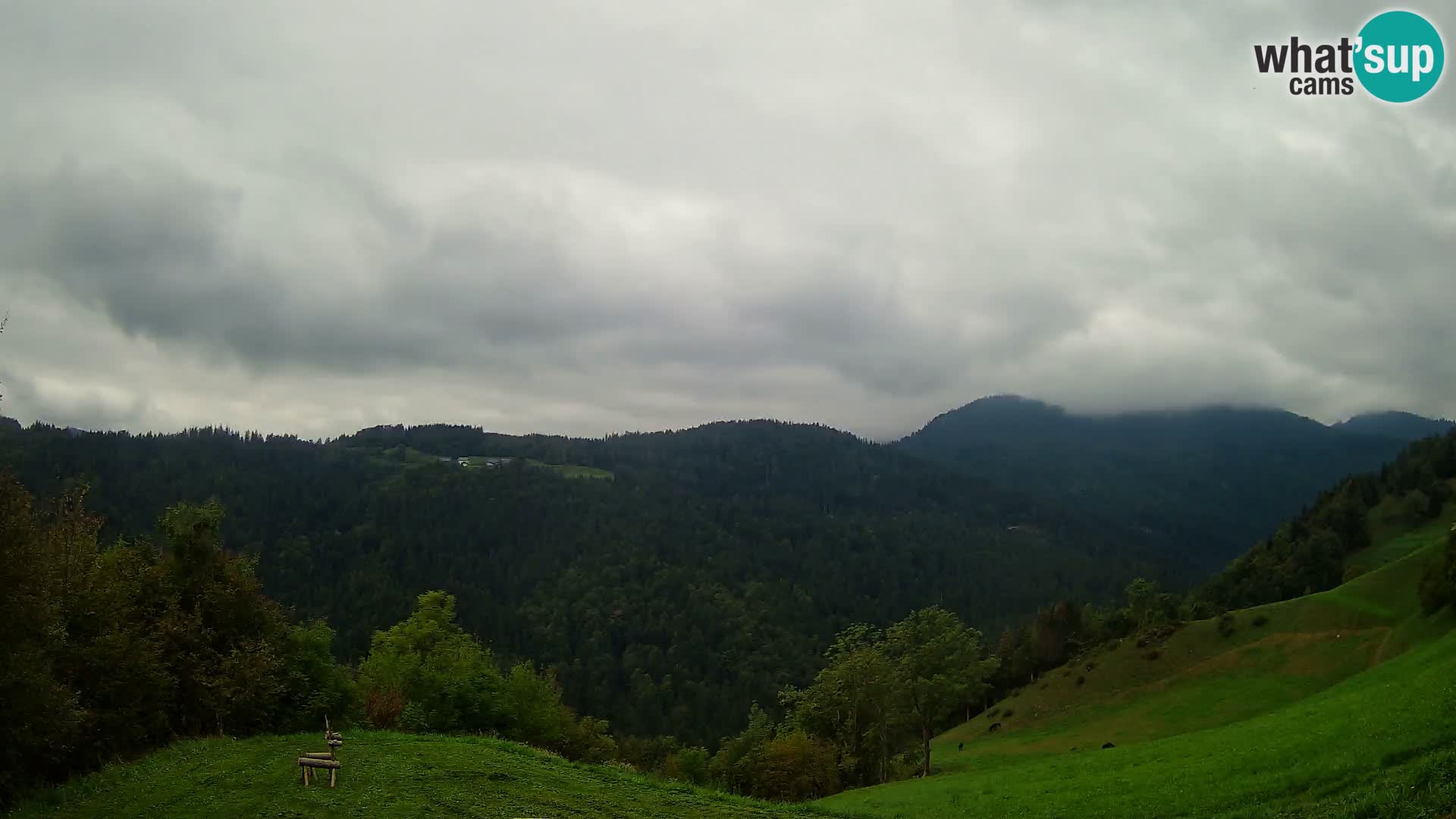 Web kamera Brunarica Dražgoše – Pogled uživo na Ratitovec (1666 m)
