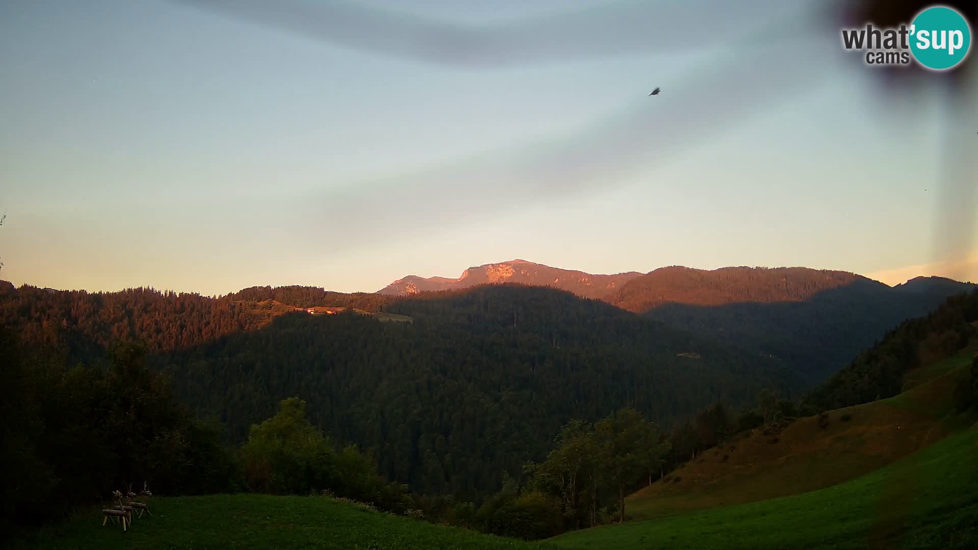 Webcam Brunarica Dražgoše – Live View of Ratitovec (1666 m)