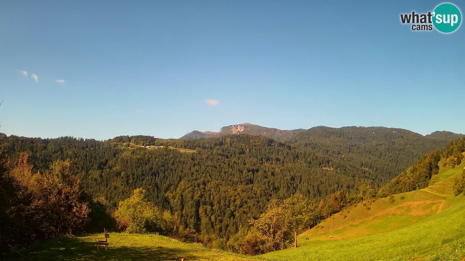 Webcam Brunarica Dražgoše – Live View of Ratitovec (1666 m)