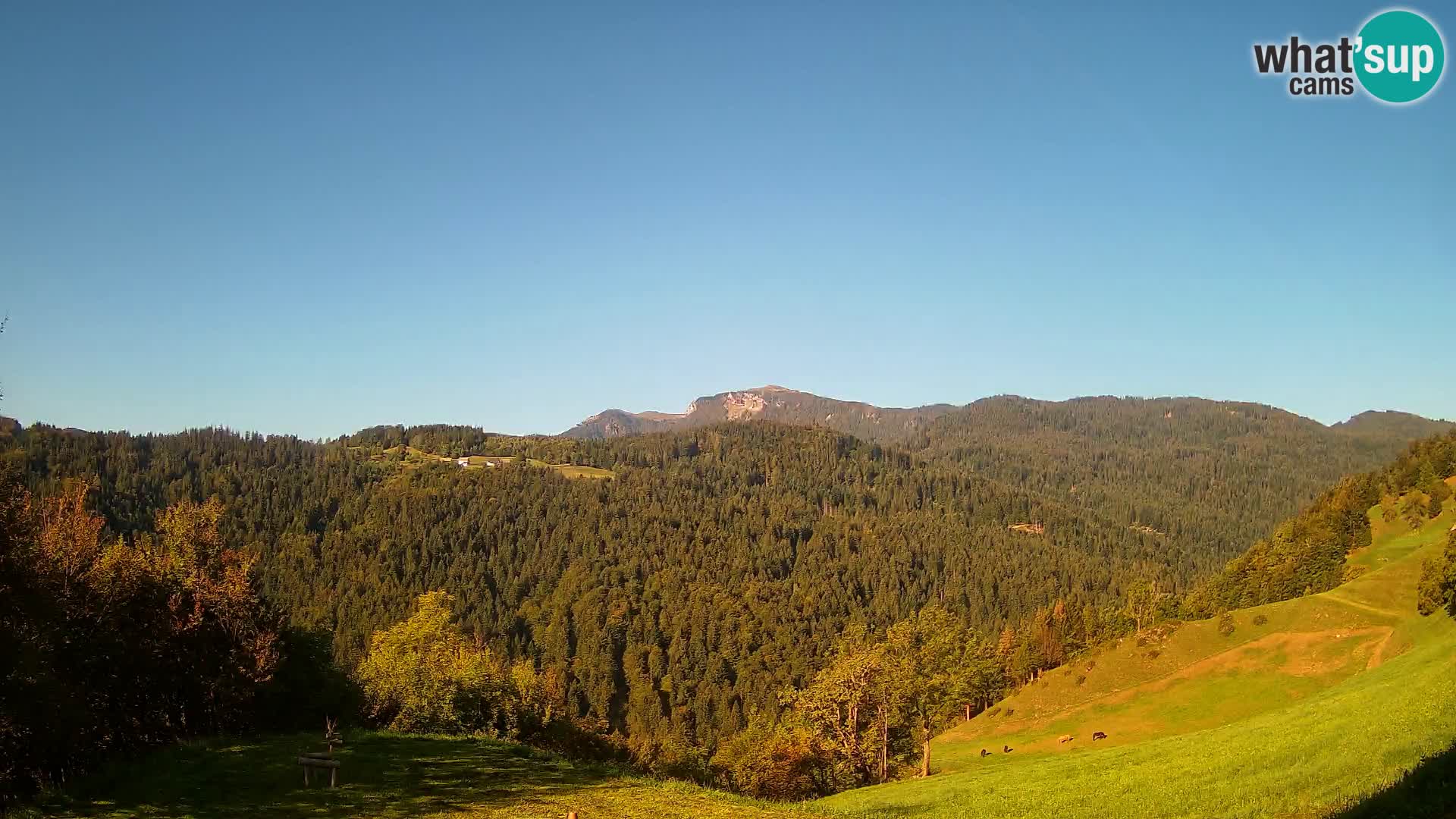 Spletna kamera Brunarica Dražgoše – Pogled v živo na Ratitovec (1666 m)