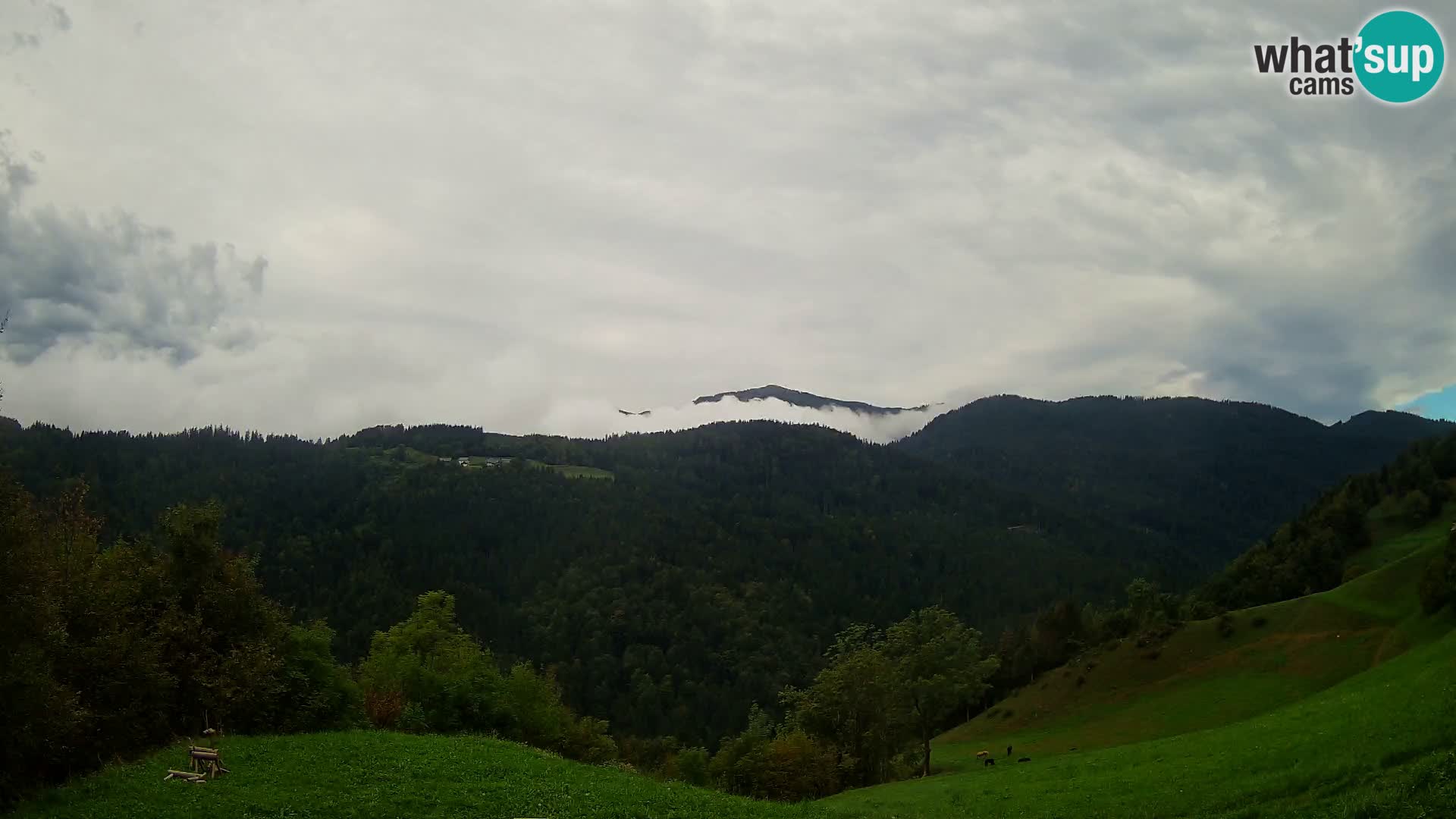Webcam Brunarica Dražgoše – Liveblick auf Ratitovec (1666 m)