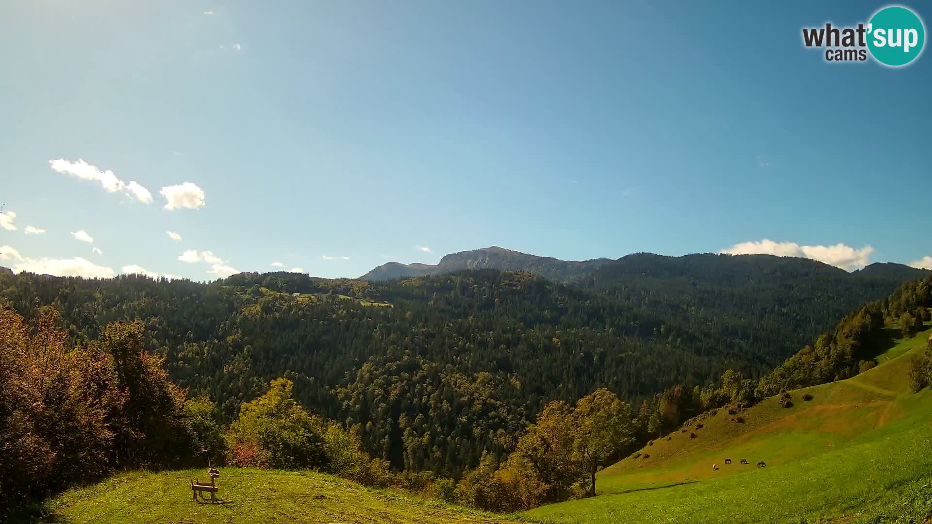 Webcam Brunarica Dražgoše – Live View of Ratitovec (1666 m)