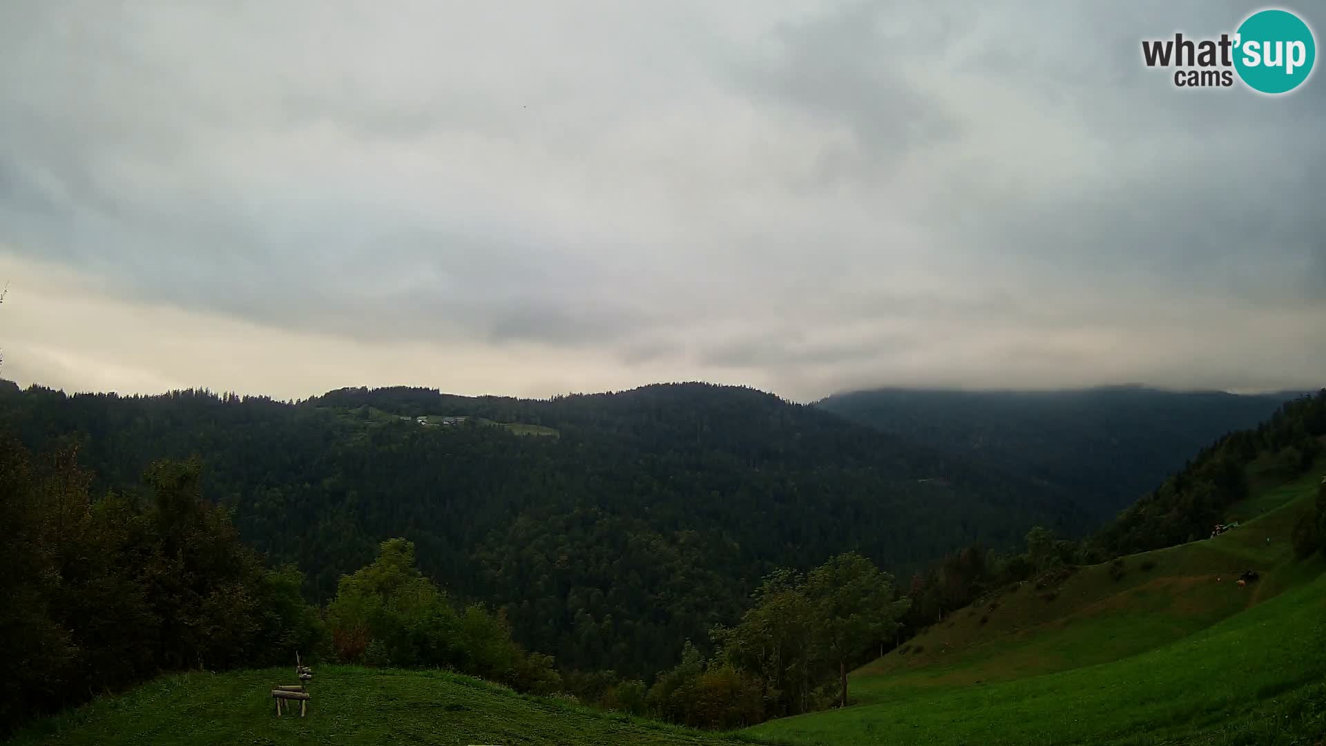 Webcam Brunarica Dražgoše – Live View of Ratitovec (1666 m)