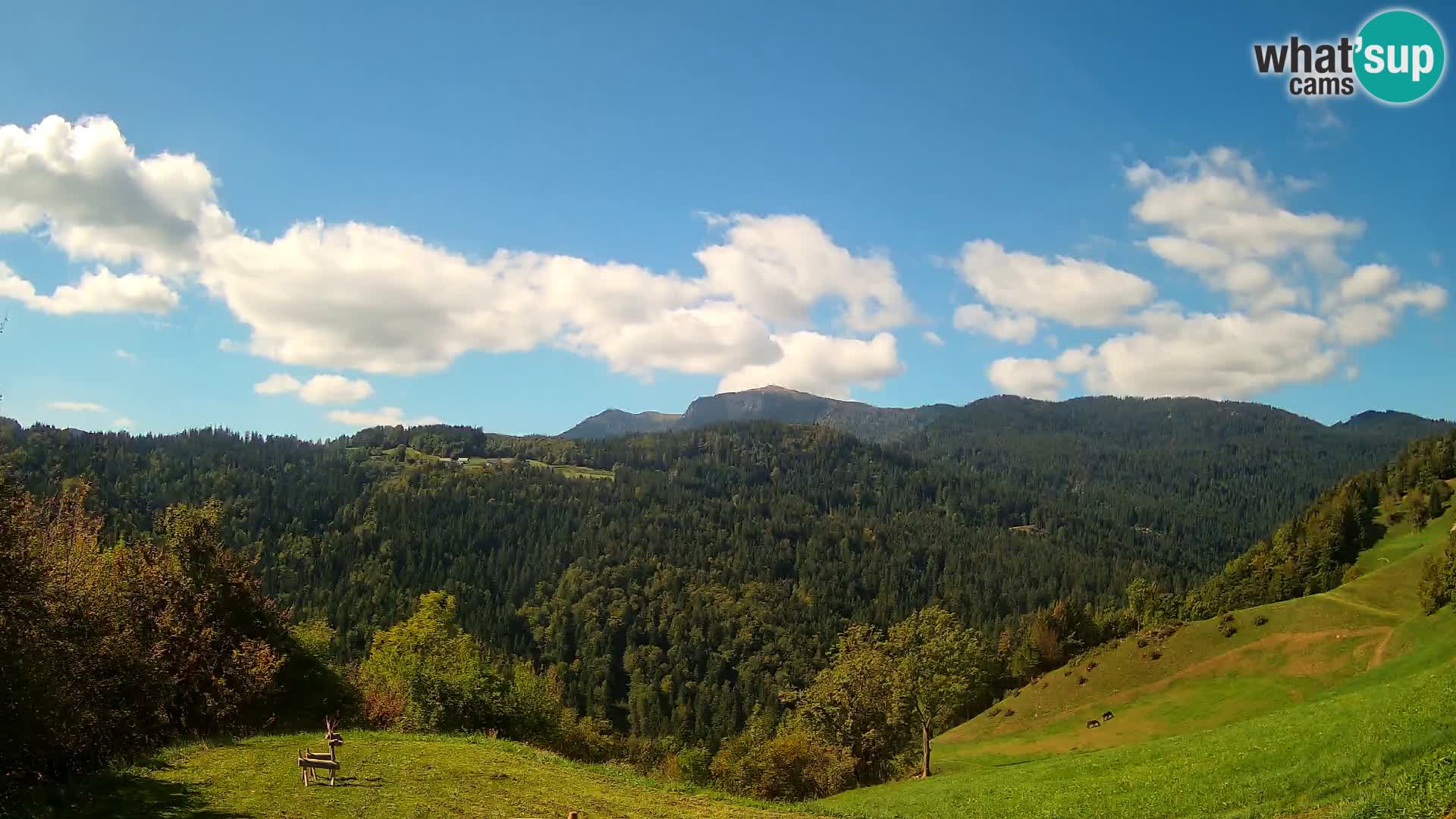 Webcam Brunarica Dražgoše – Liveblick auf Ratitovec (1666 m)