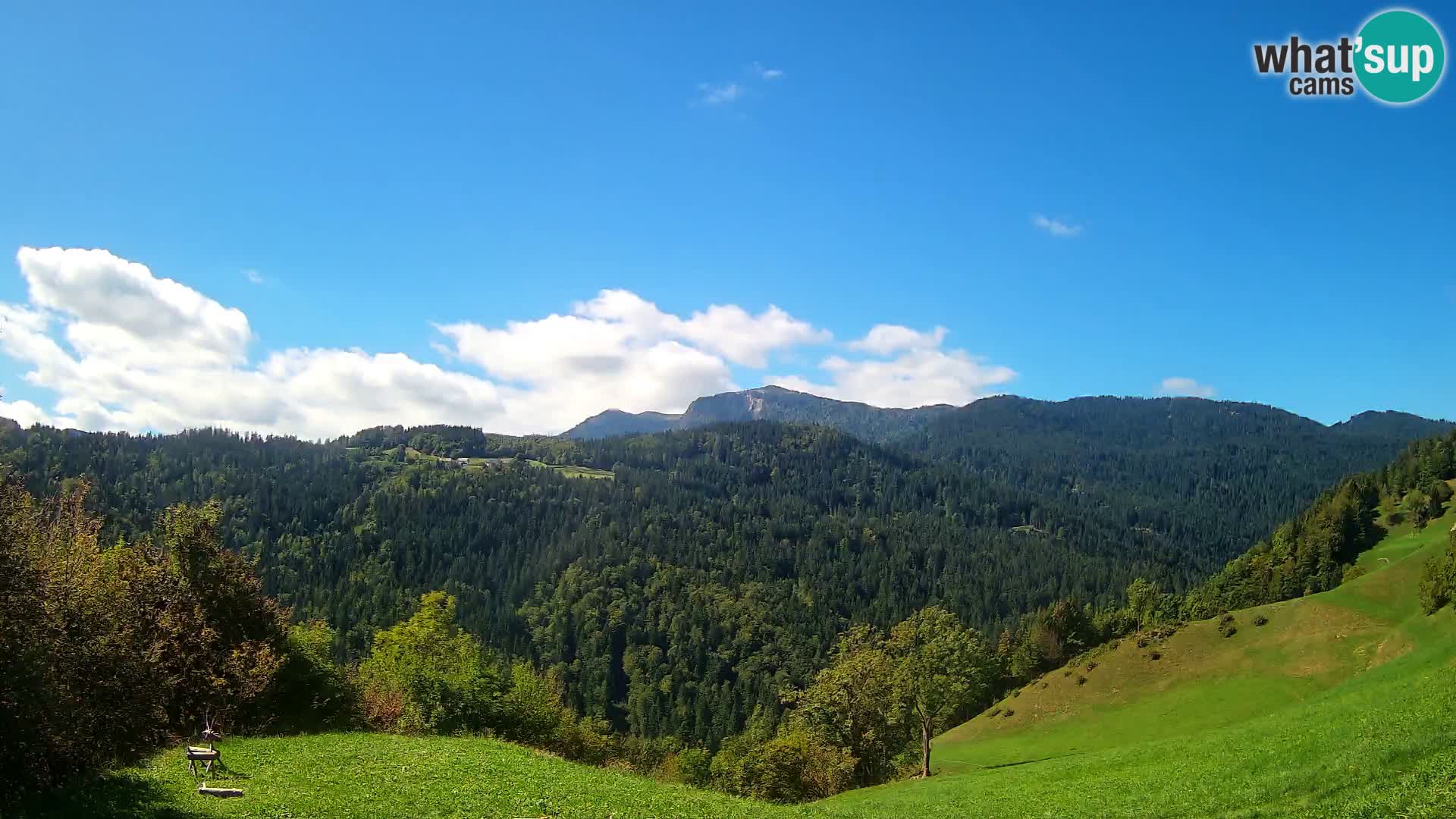Webcam Brunarica Dražgoše – Live View of Ratitovec (1666 m)
