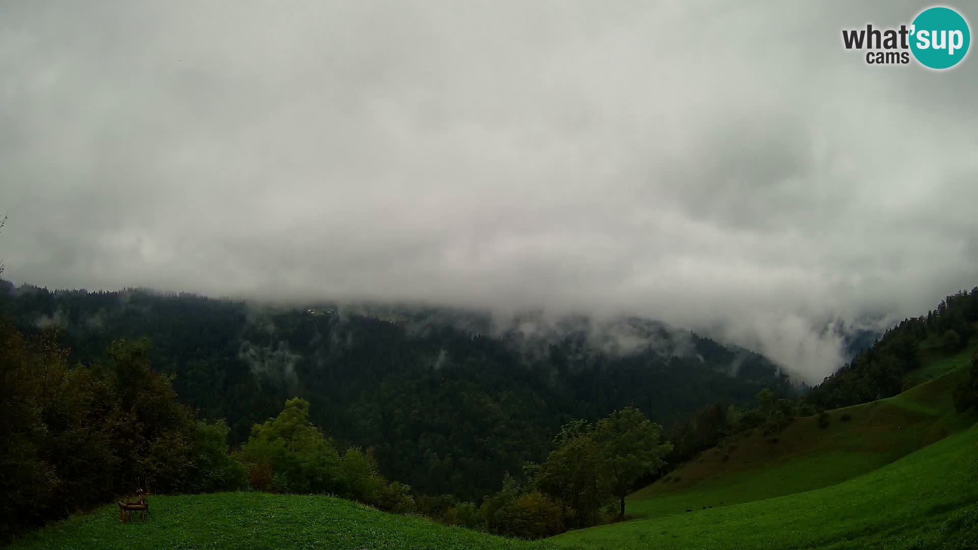 Webcam Brunarica Dražgoše – Live View of Ratitovec (1666 m)