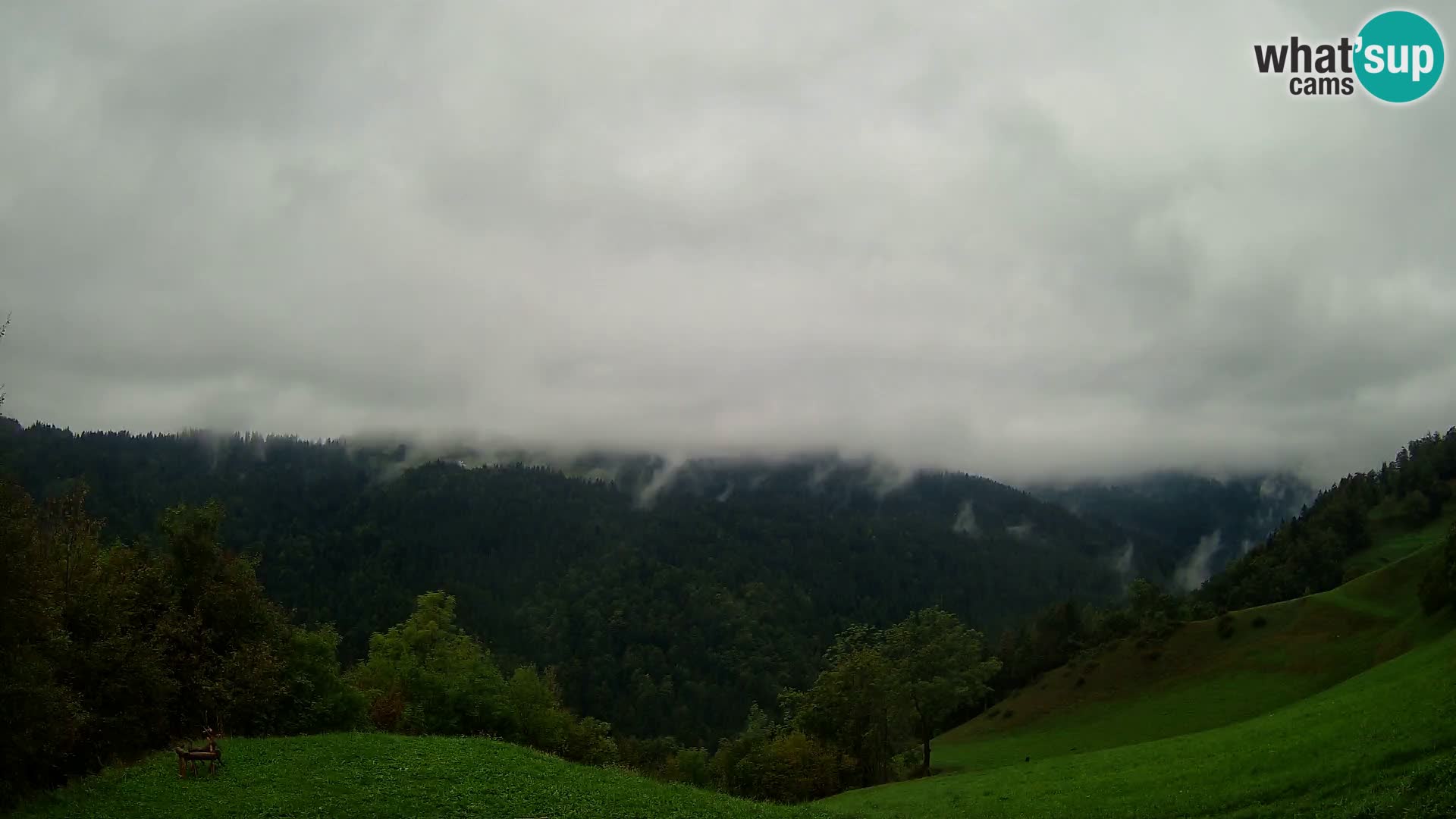 Webcam Brunarica Dražgoše – Live View of Ratitovec (1666 m)
