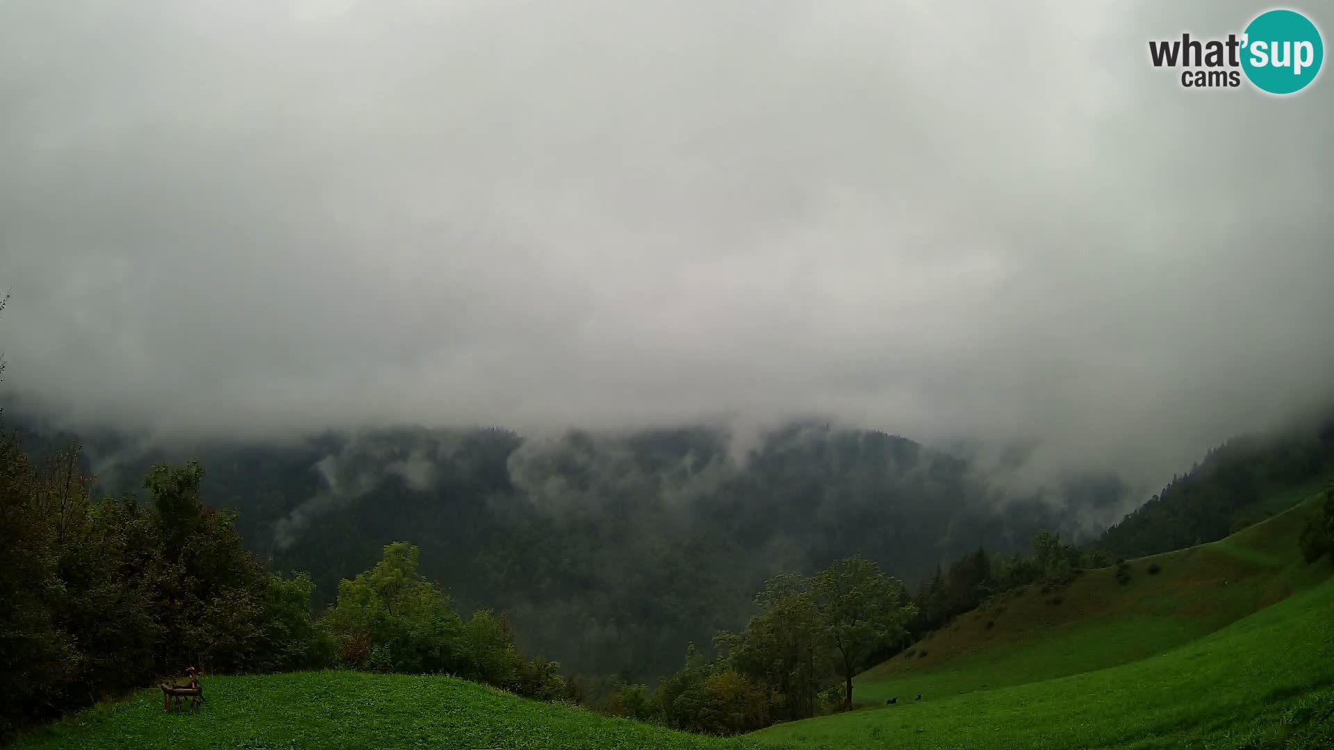 Webcam Brunarica Dražgoše – Live View of Ratitovec (1666 m)