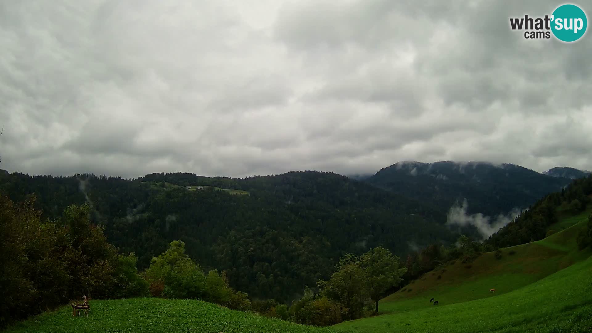 Spletna kamera Brunarica Dražgoše – Pogled v živo na Ratitovec (1666 m)