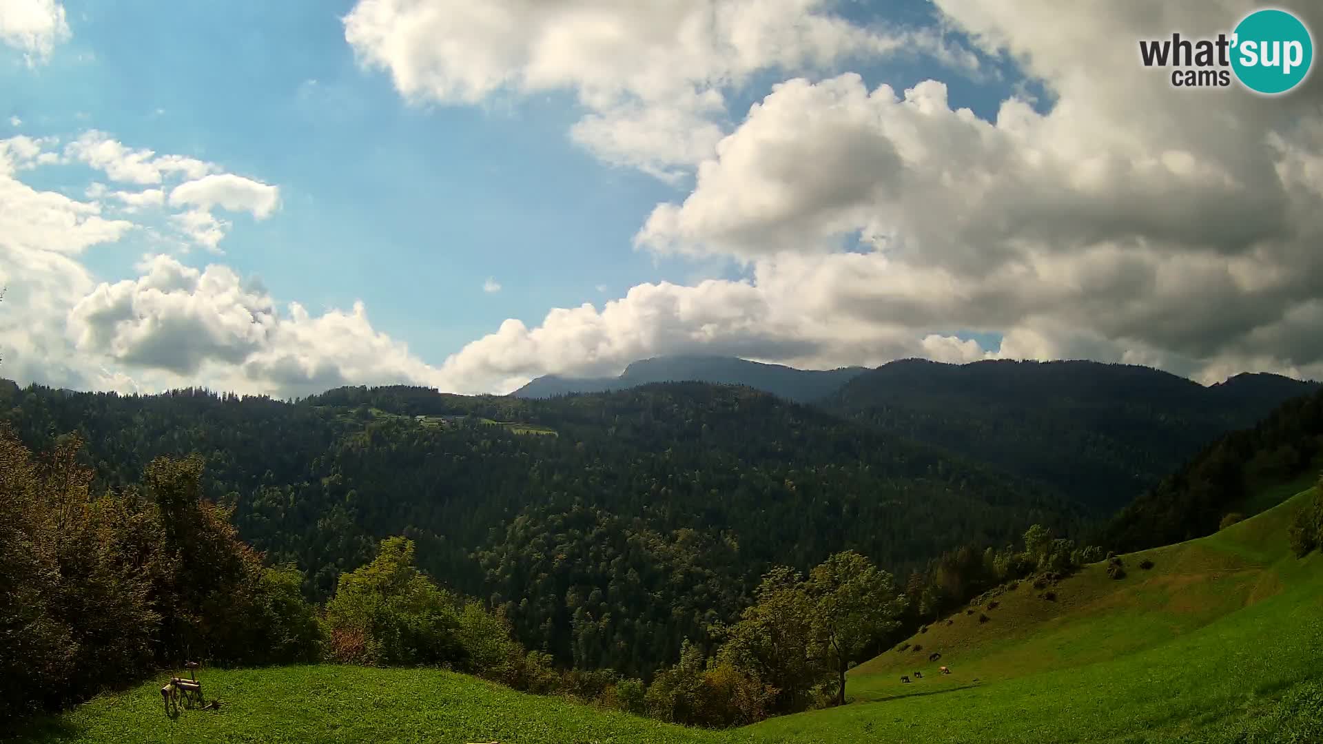 Webcam Brunarica Dražgoše – Live View of Ratitovec (1666 m)