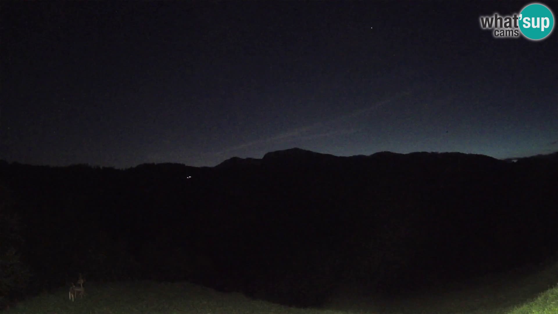 Webcam Brunarica Dražgoše – Live View of Ratitovec (1666 m)