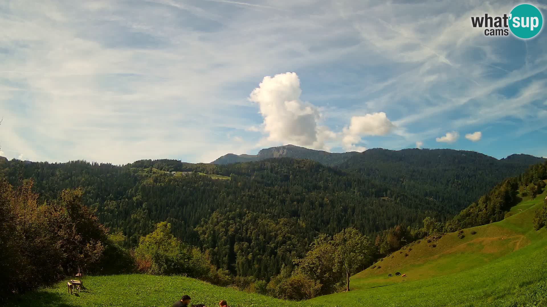 Webcam Brunarica Dražgoše – Live View of Ratitovec (1666 m)