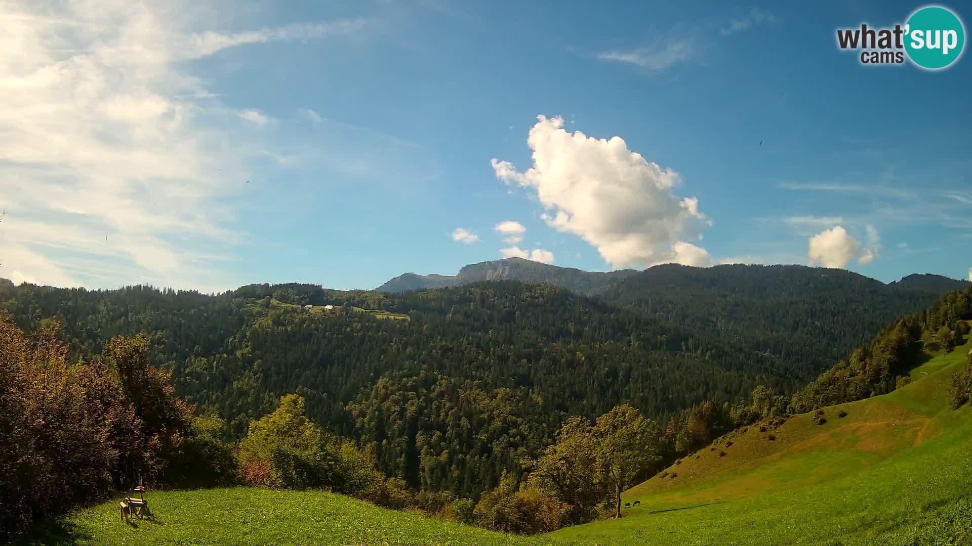 Webcam Brunarica Dražgoše – Live View of Ratitovec (1666 m)