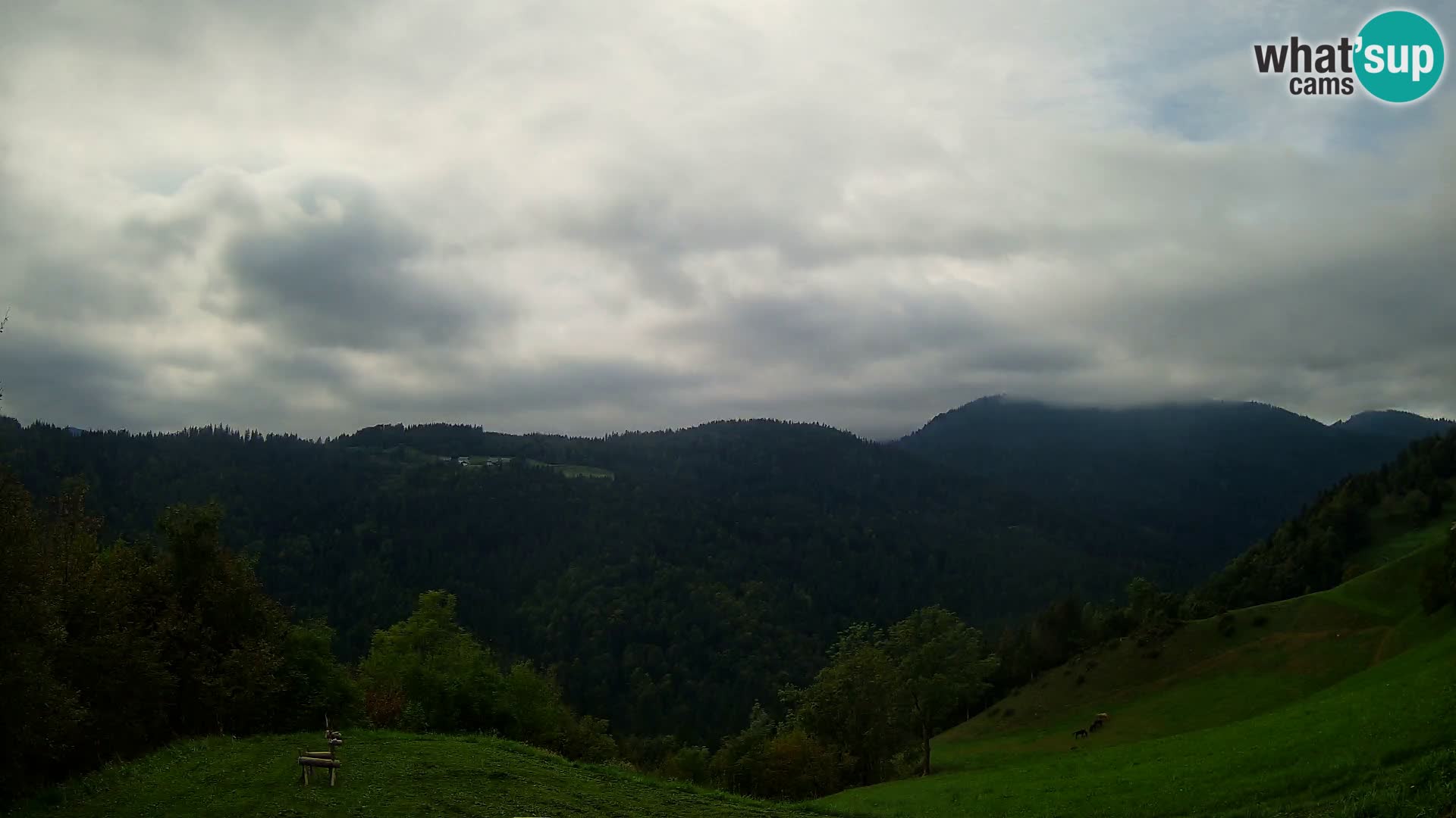 Webcam Brunarica Dražgoše – Vista live sul Ratitovec (1666 m)