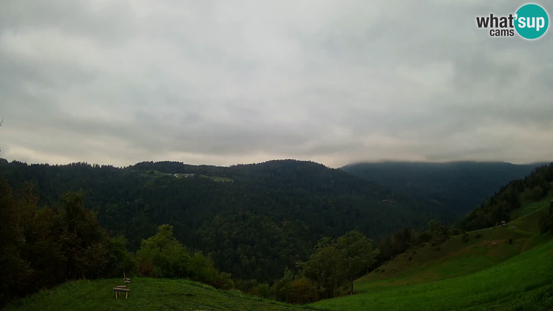 Webcam Brunarica Dražgoše – Live View of Ratitovec (1666 m)